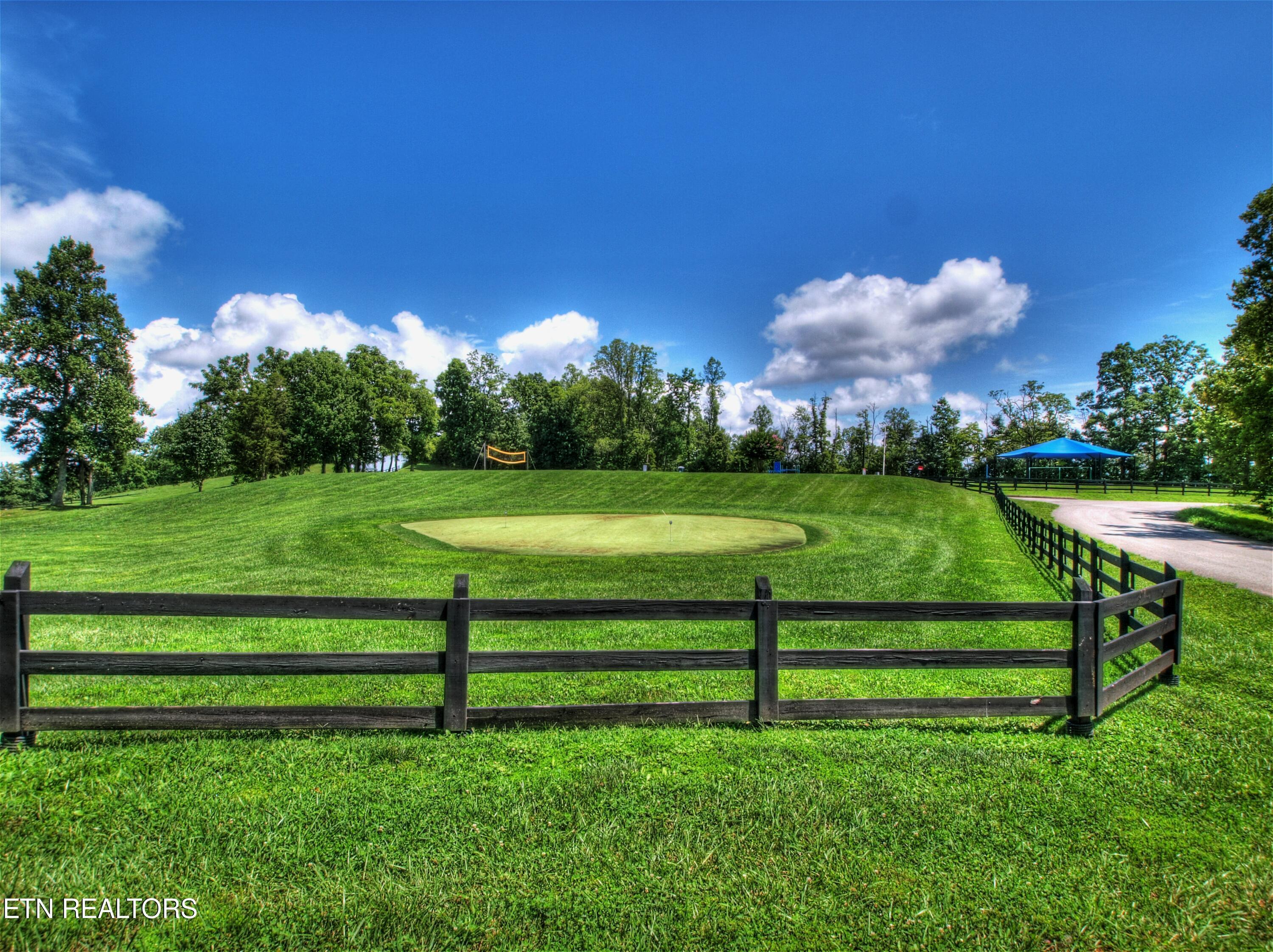 Lot 432 Beryl Court, New Tazewell, TN - Norris Lake Real Estate - Image# 22