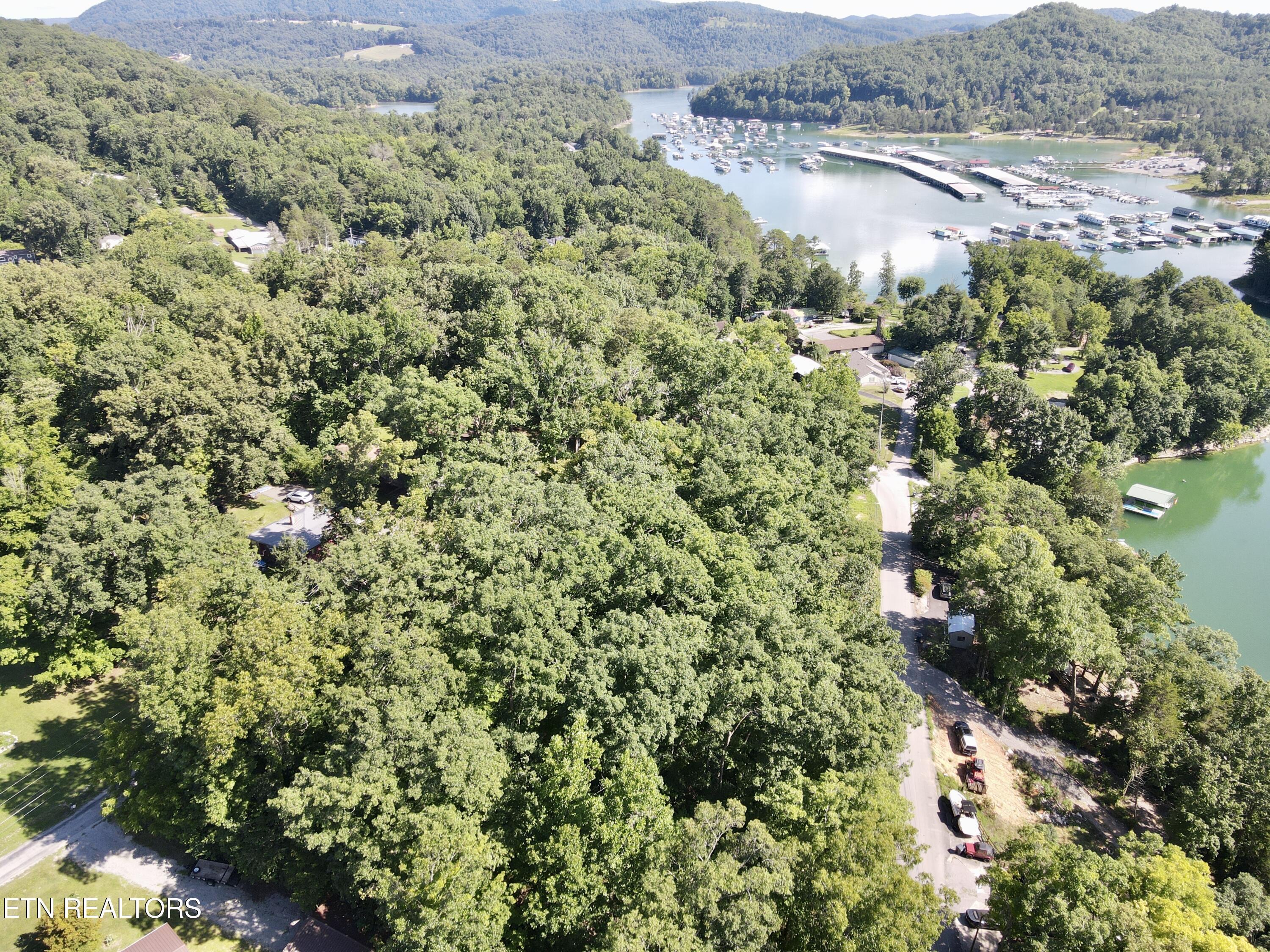 Norris Lake Real Estate - Image# 1
