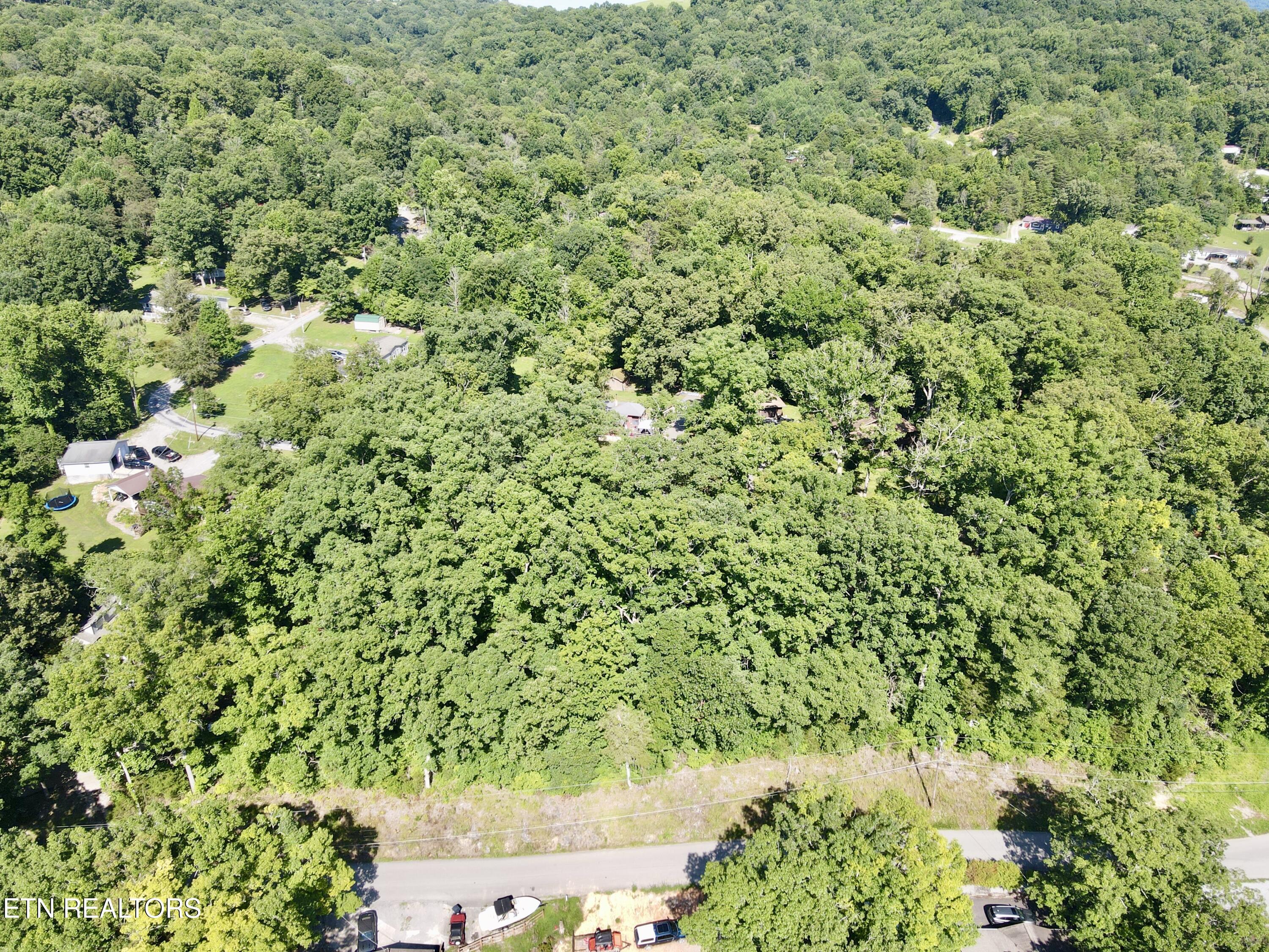 Norris Lake Real Estate - Image# 2