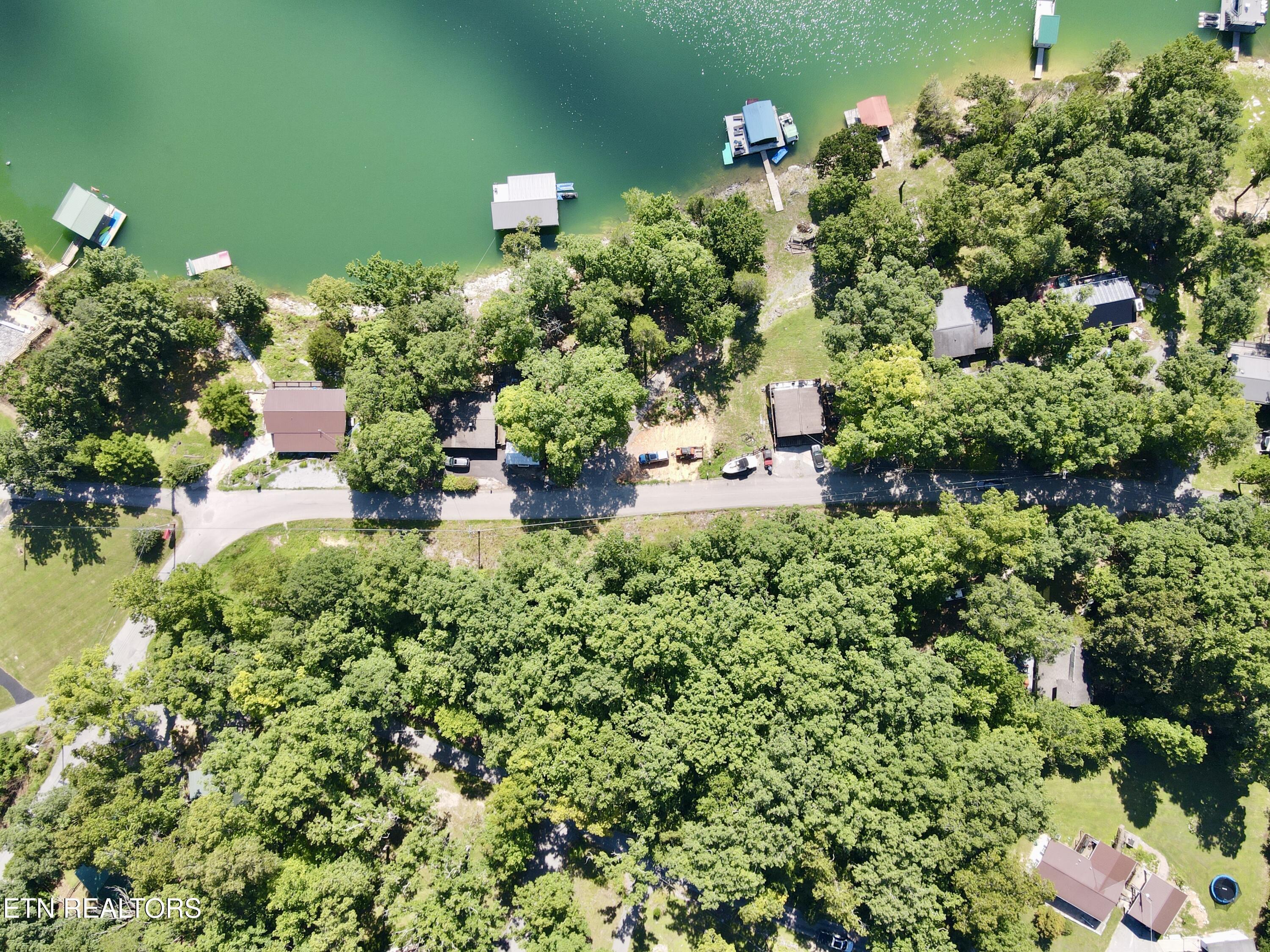Norris Lake Real Estate - Image# 3
