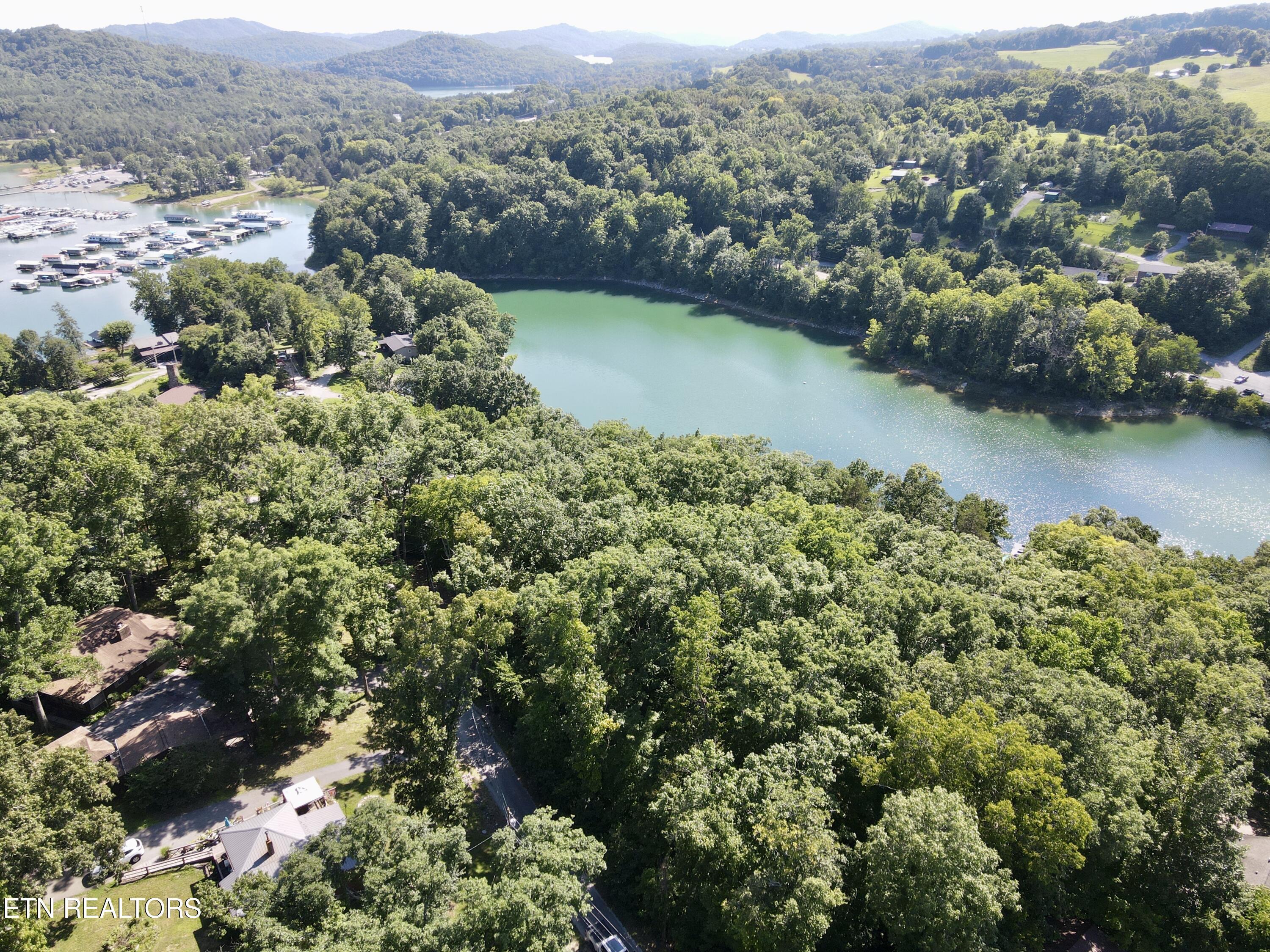 Norris Lake Real Estate - Image# 4
