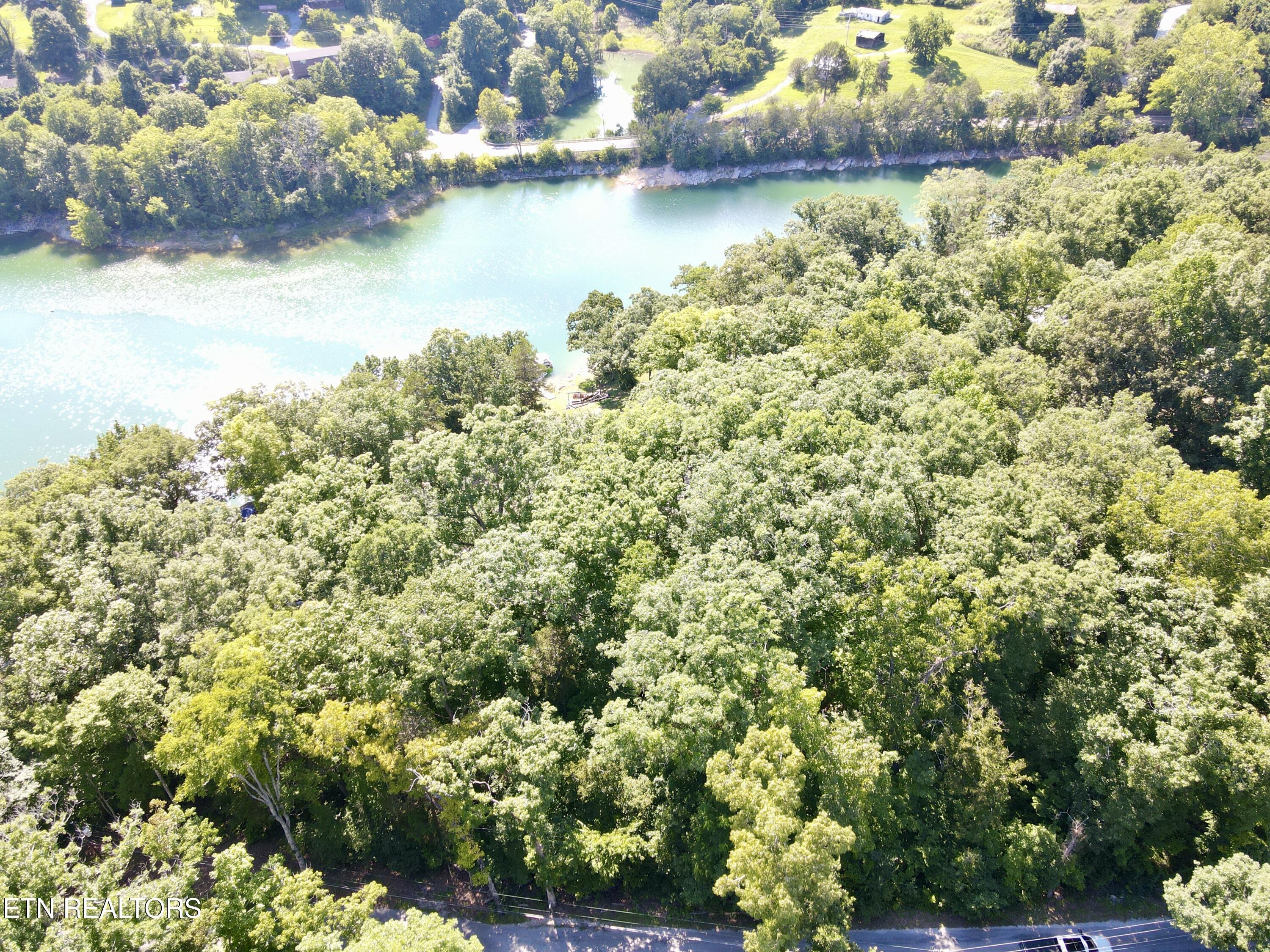 Norris Lake Real Estate - Image# 5