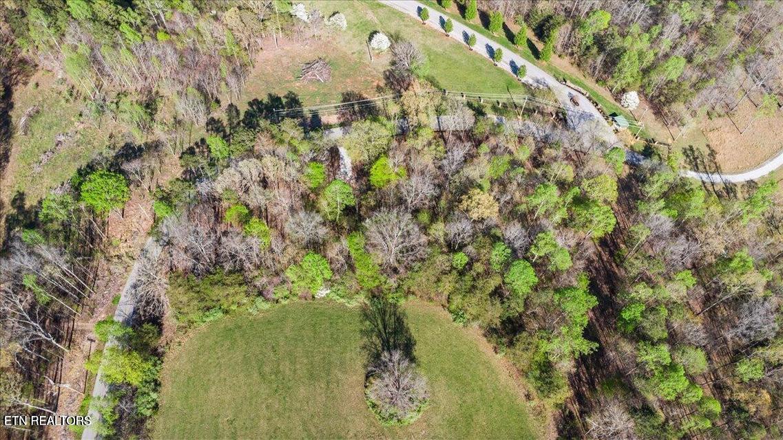 Norris Lake Real Estate - Image# 13