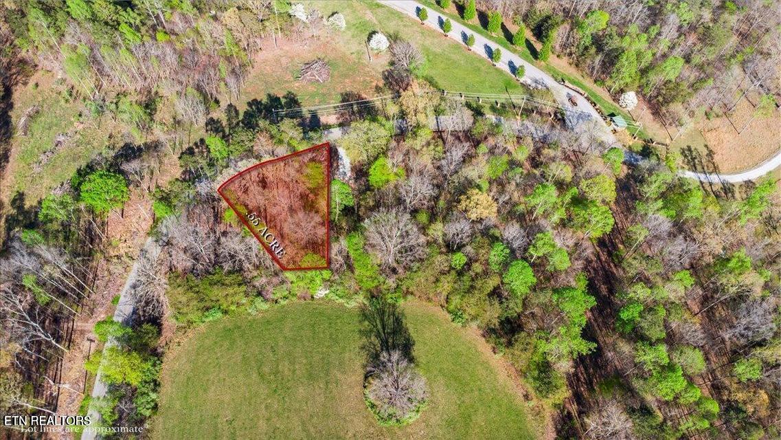 Norris Lake Real Estate - Image# 1