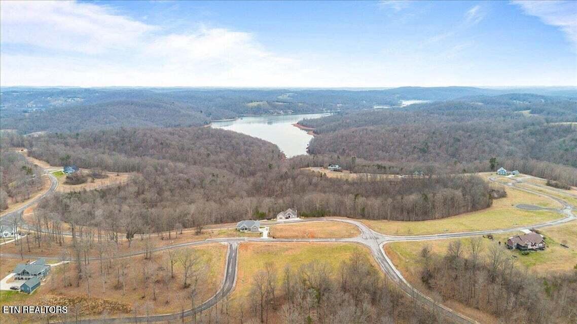 Norris Lake Real Estate - Image# 6