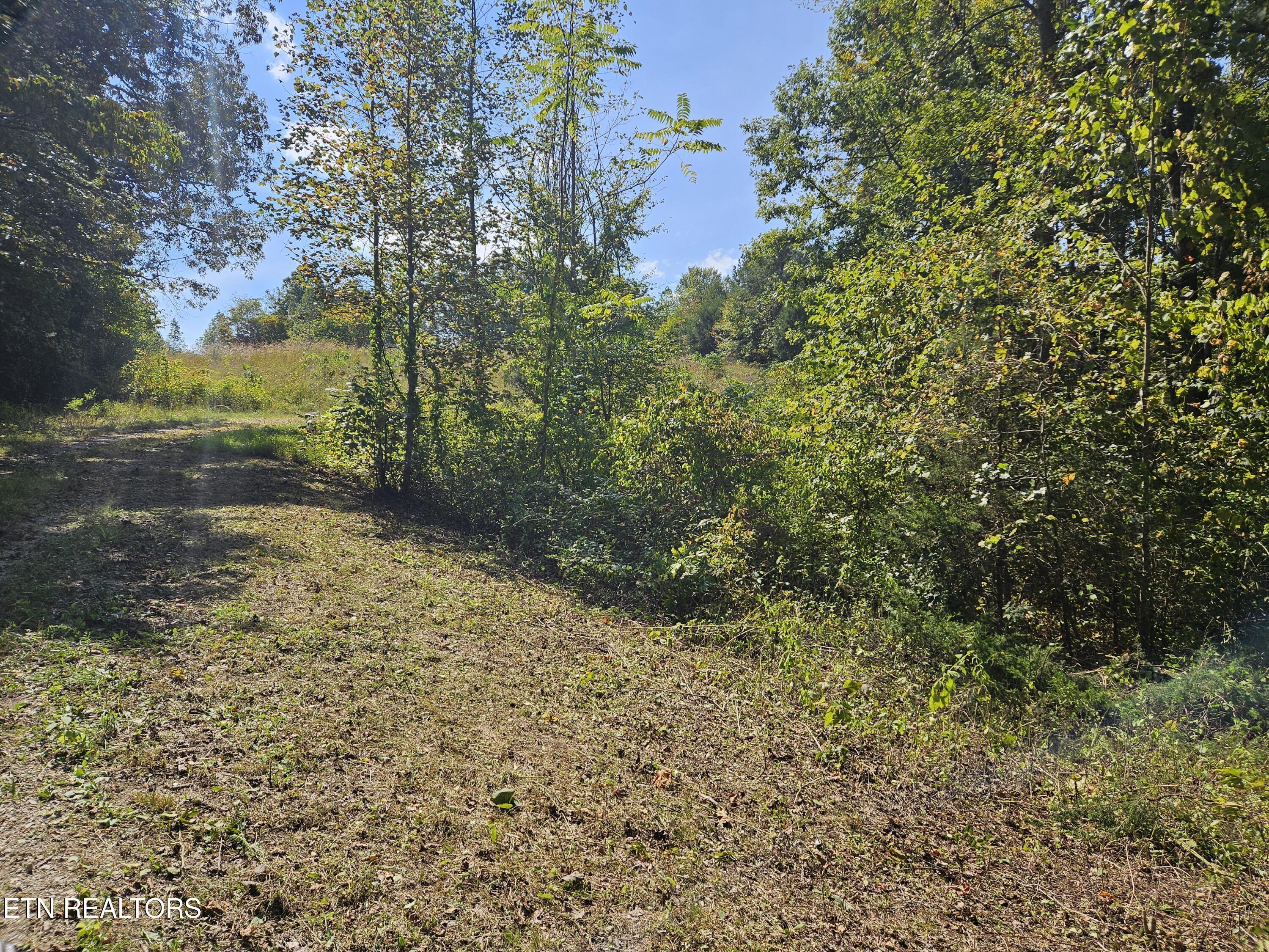 Norris Lake Real Estate - Image# 5