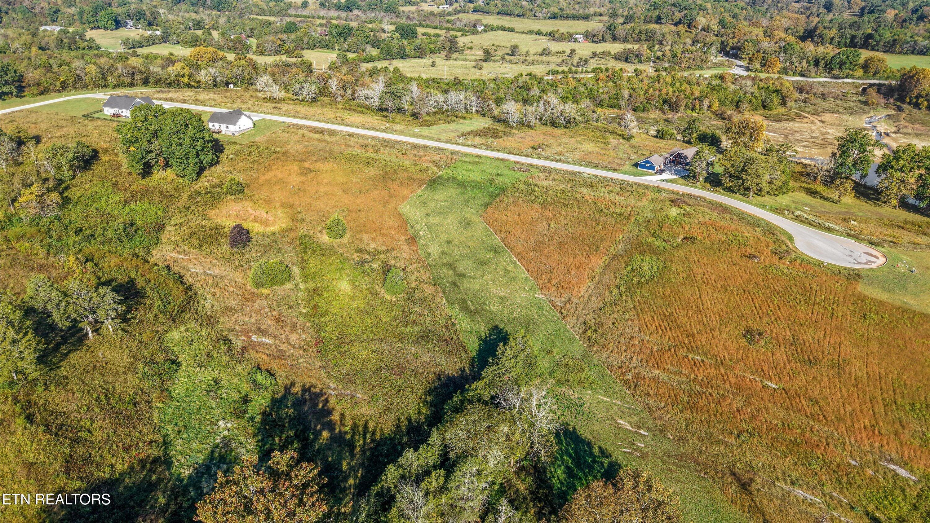 Waterfront, Sharps Chapel, TN - Norris Lake Real Estate - Image# 4