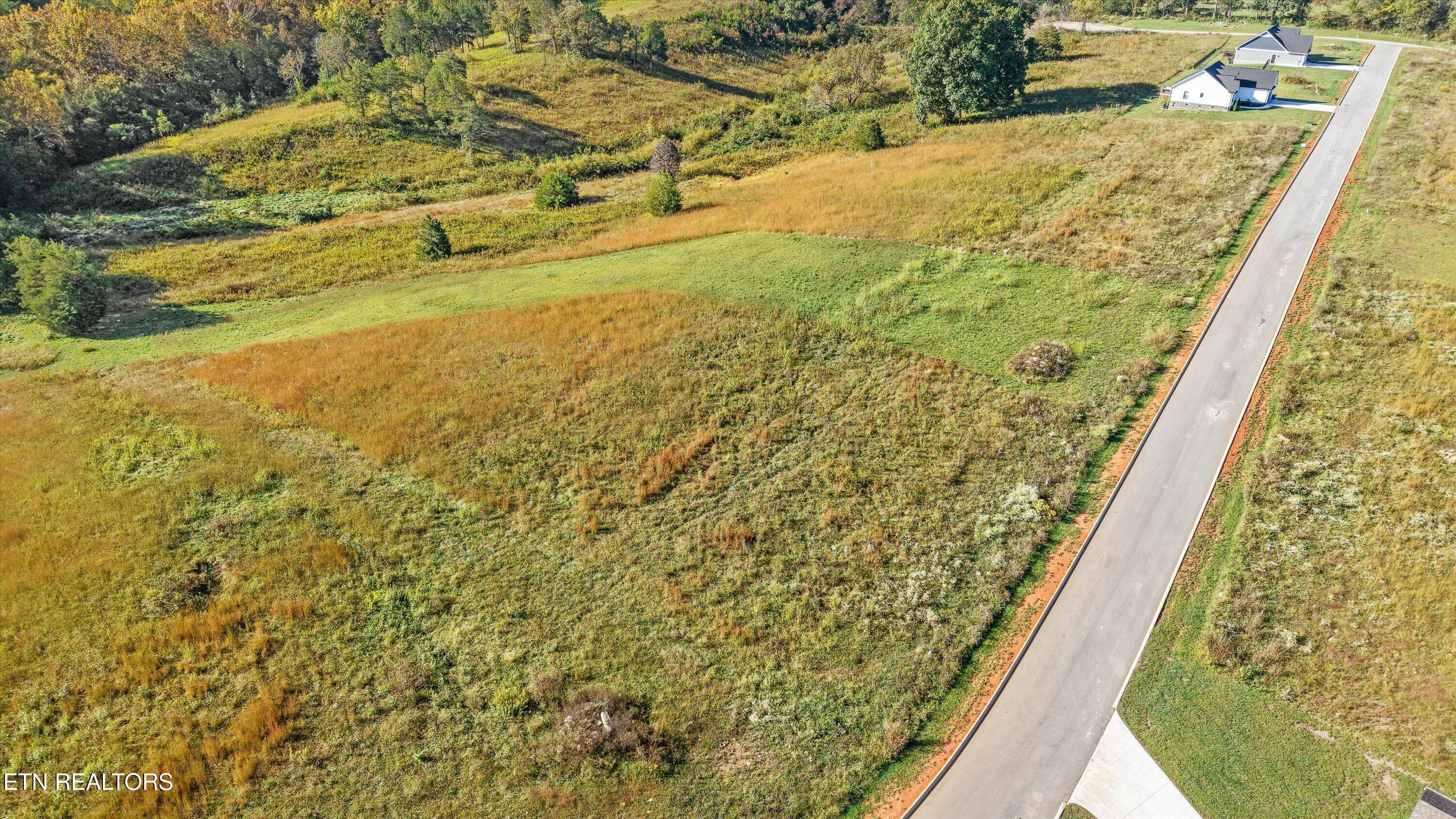 Waterfront, Sharps Chapel, TN - Norris Lake Real Estate - Image# 7