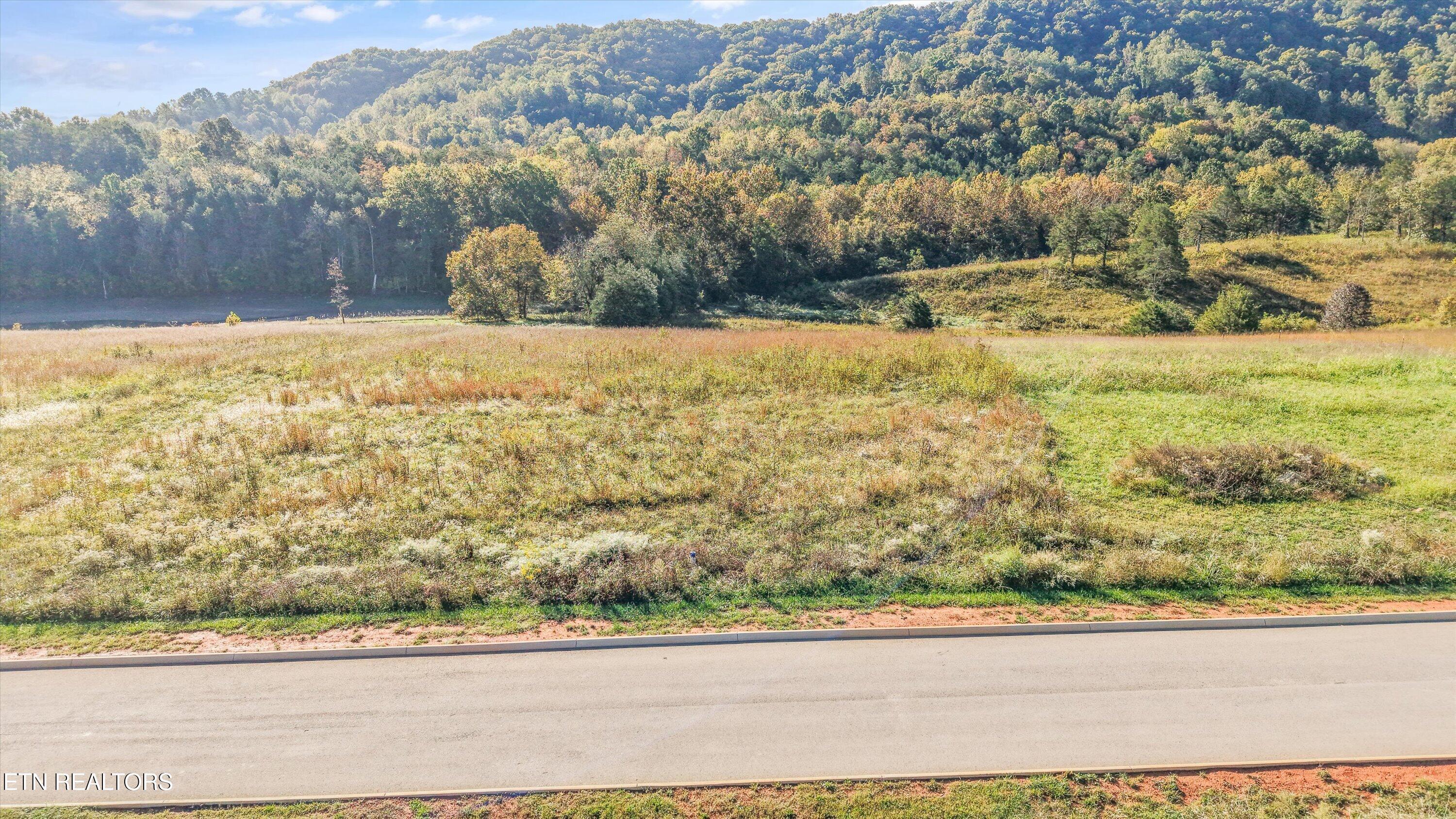 Waterfront, Sharps Chapel, TN - Norris Lake Real Estate - Image# 8
