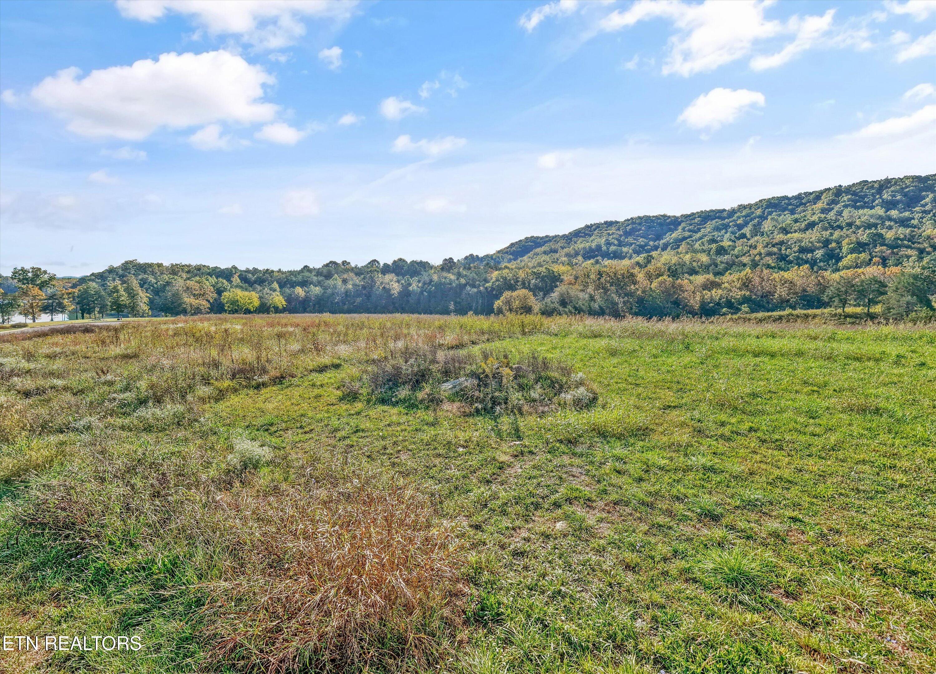Waterfront, Sharps Chapel, TN - Norris Lake Real Estate - Image# 10