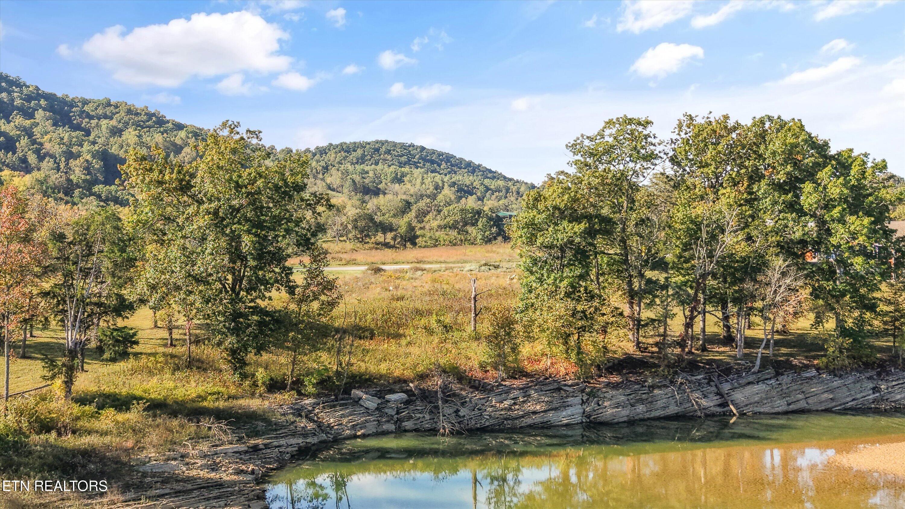 Waterfront, Sharps Chapel, TN - Norris Lake Real Estate - Image# 14