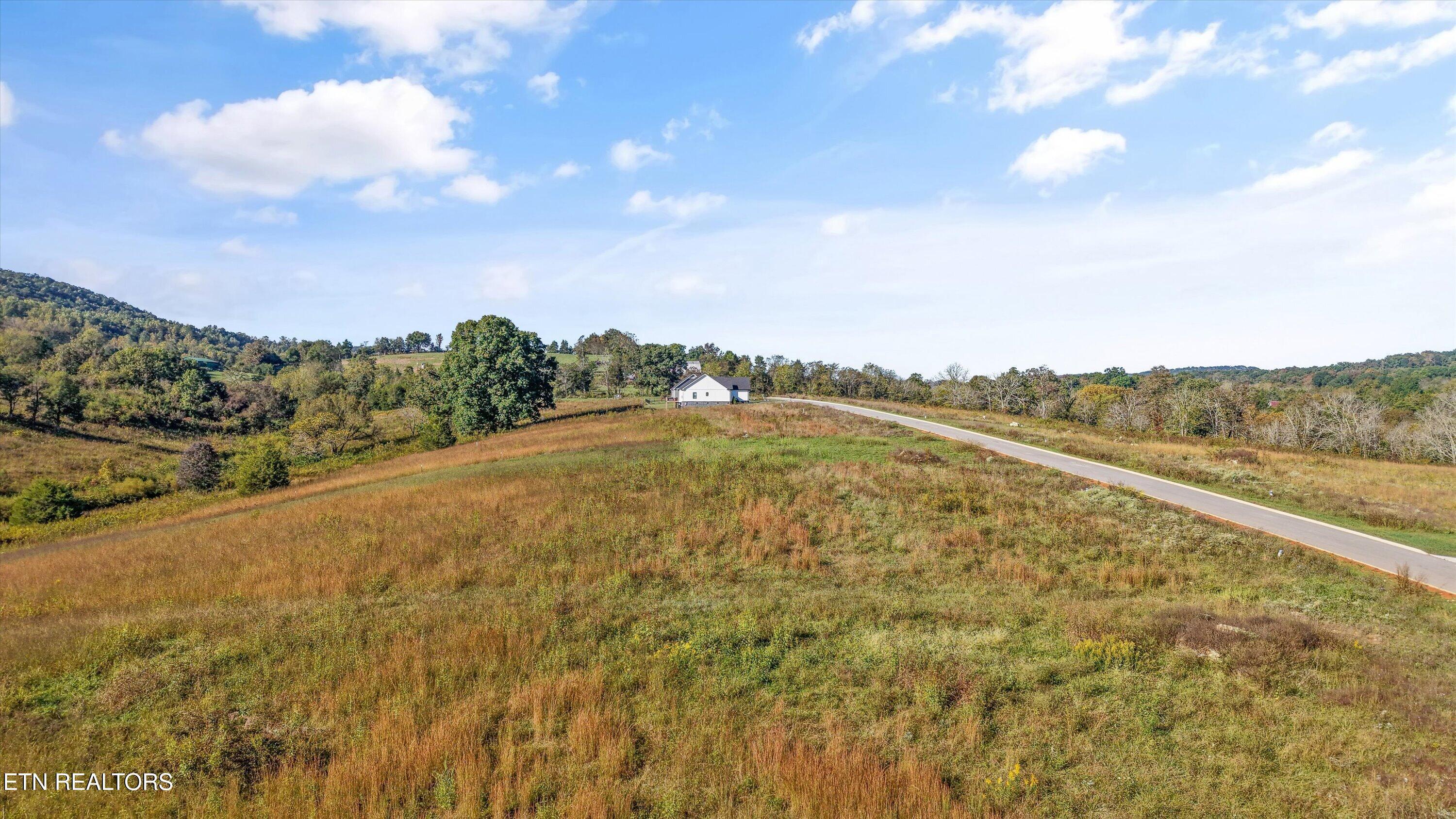 Waterfront, Sharps Chapel, TN - Norris Lake Real Estate - Image# 15