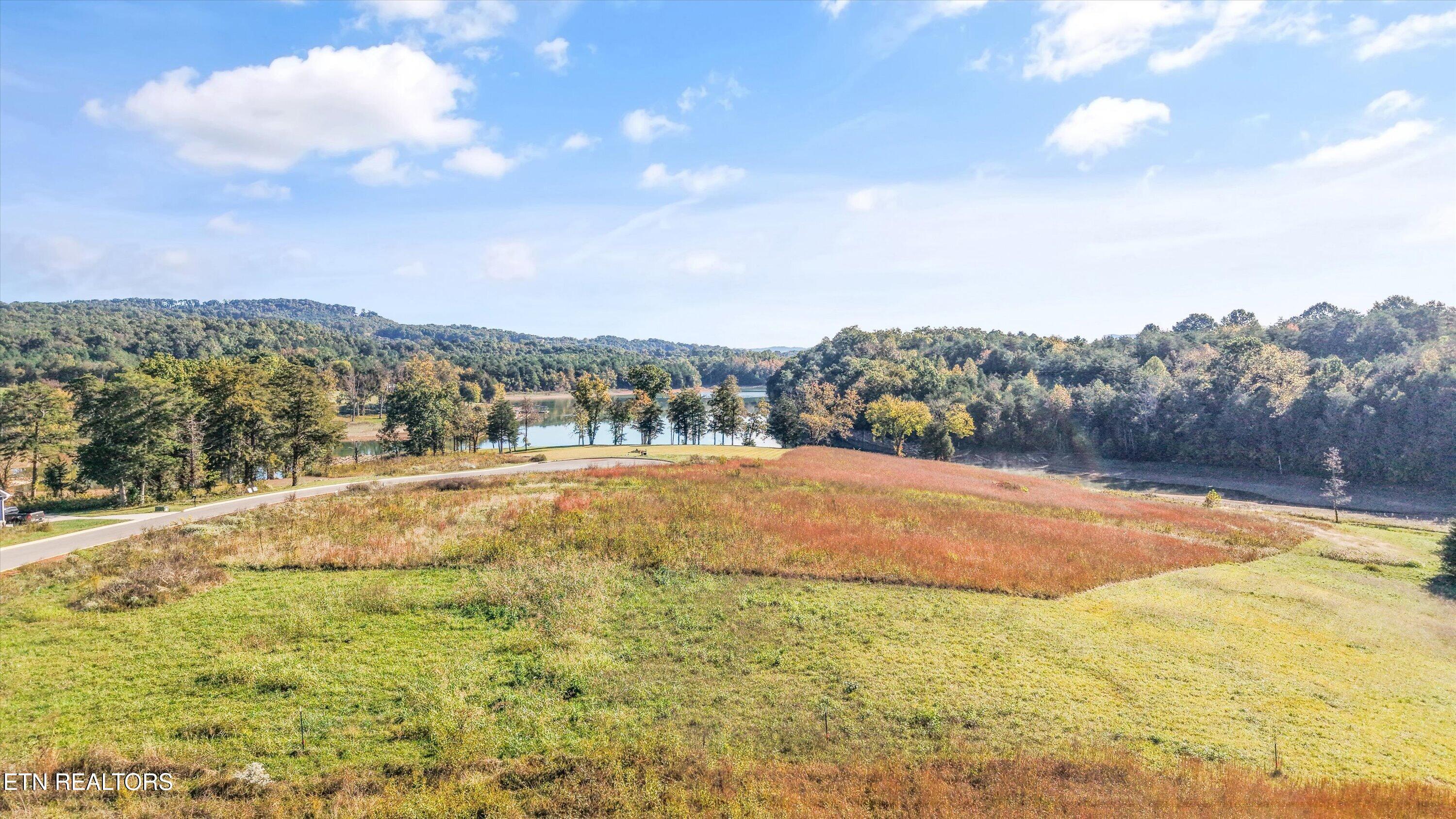 Waterfront, Sharps Chapel, TN - Norris Lake Real Estate - Image# 16
