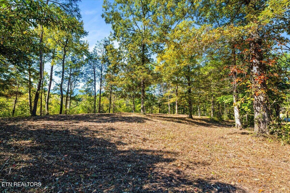 Norris Lake Real Estate - Image# 33