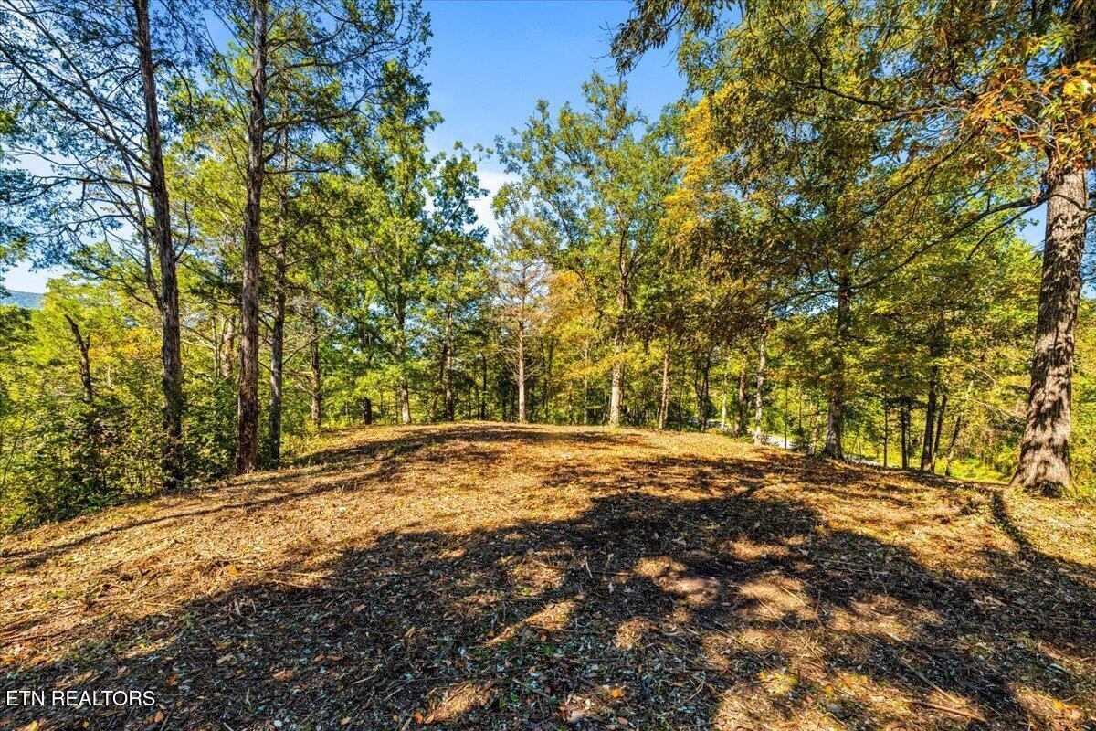 Norris Lake Real Estate - Image# 32