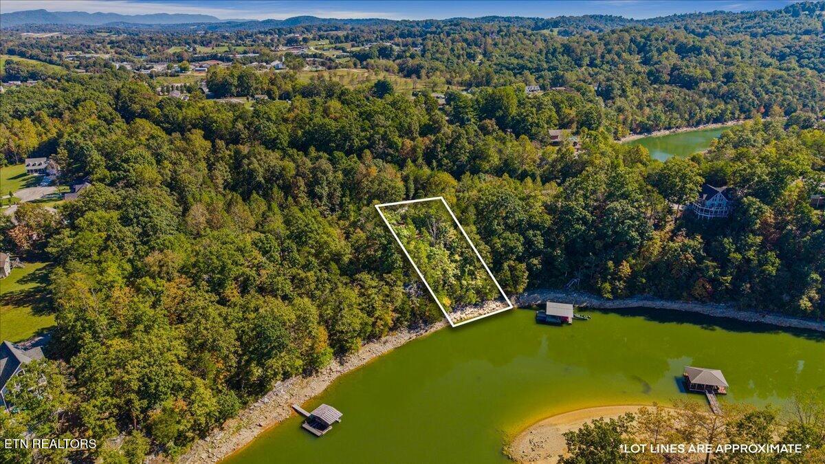 Norris Lake Real Estate - Image# 3