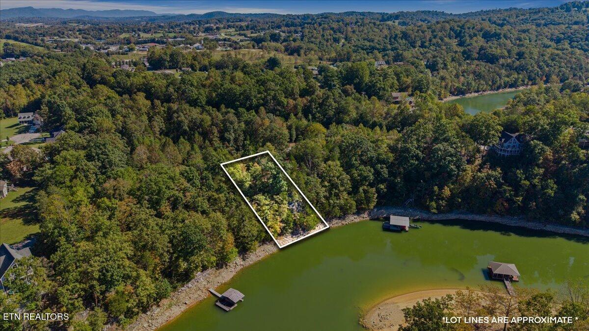 Norris Lake Real Estate - Image# 4