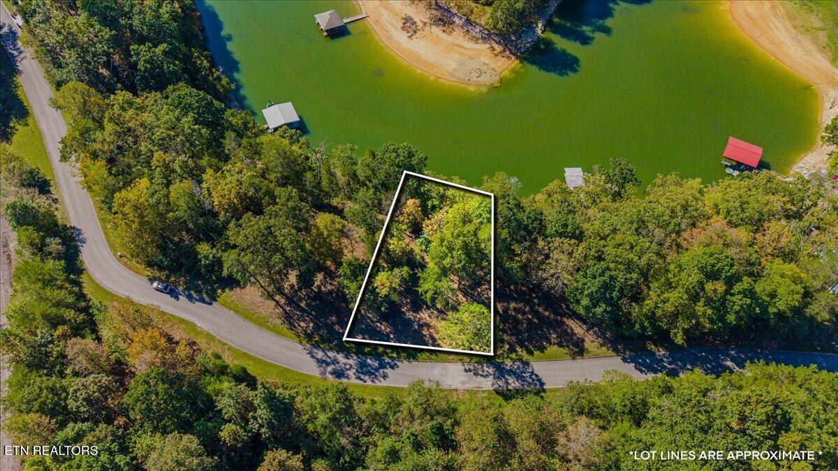 Norris Lake Real Estate - Image# 9