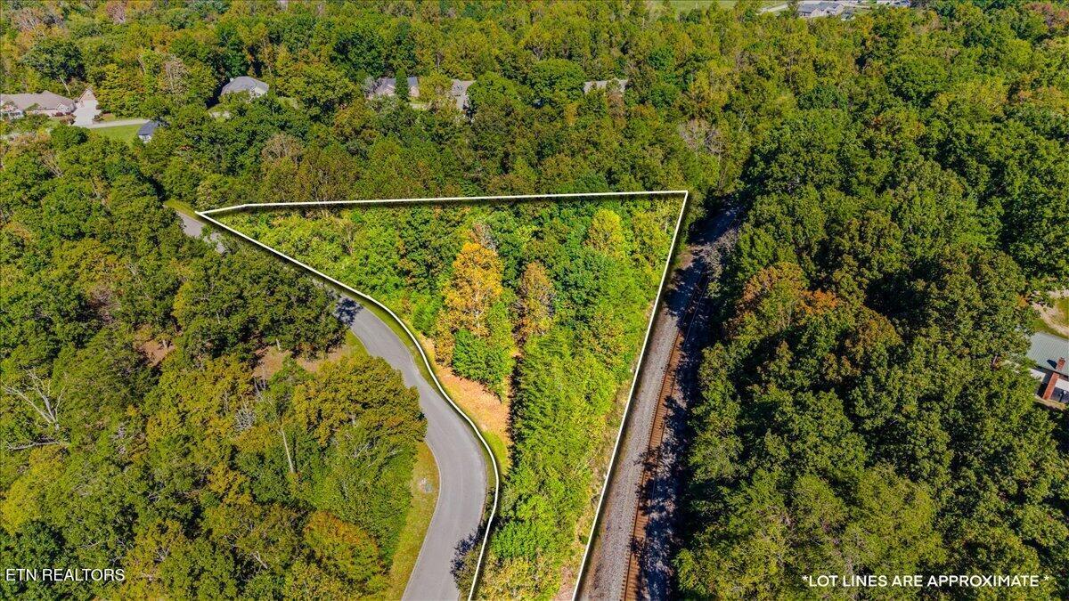 Norris Lake Real Estate - Image# 6