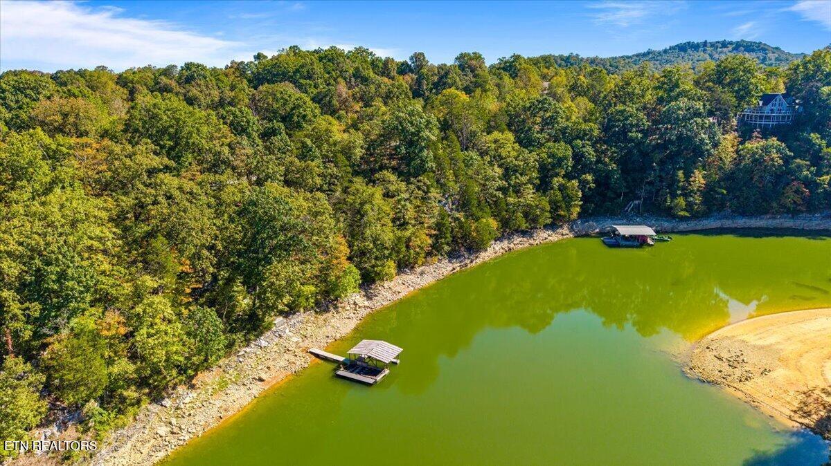 Norris Lake Real Estate - Image# 18