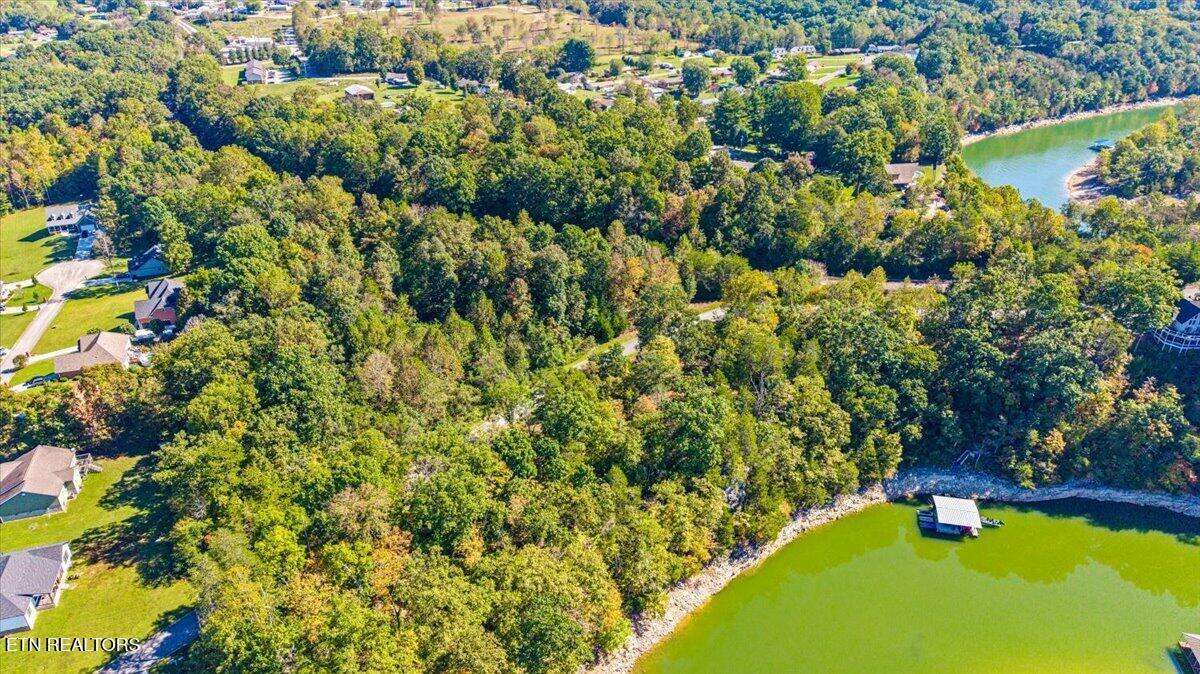 Norris Lake Real Estate - Image# 21