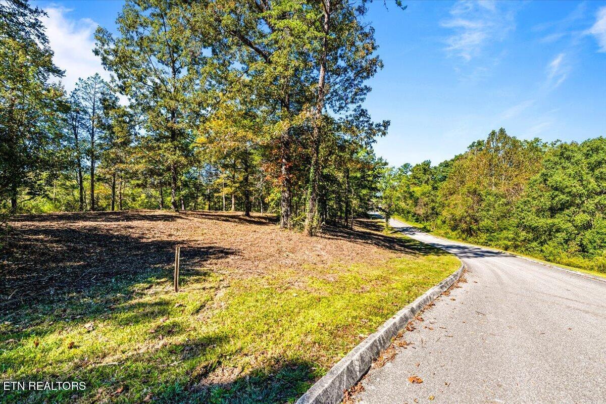 Norris Lake Real Estate - Image# 29