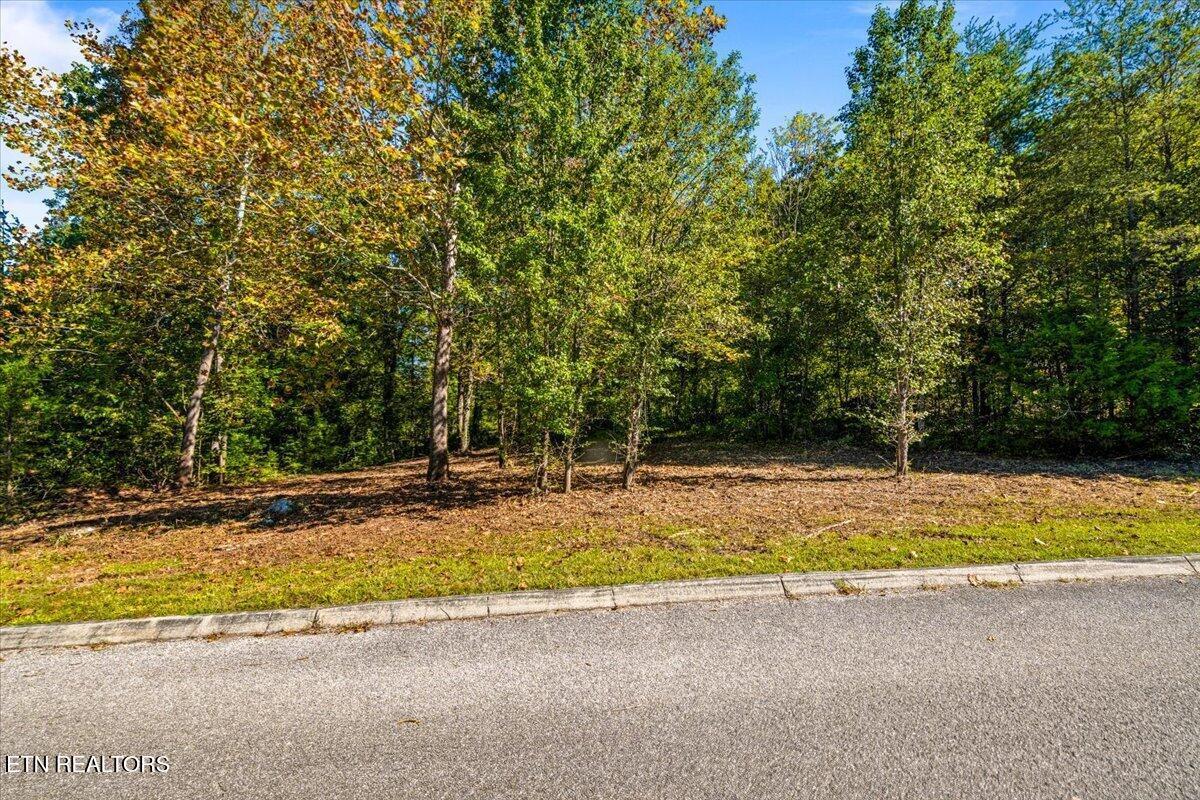 Norris Lake Real Estate - Image# 30