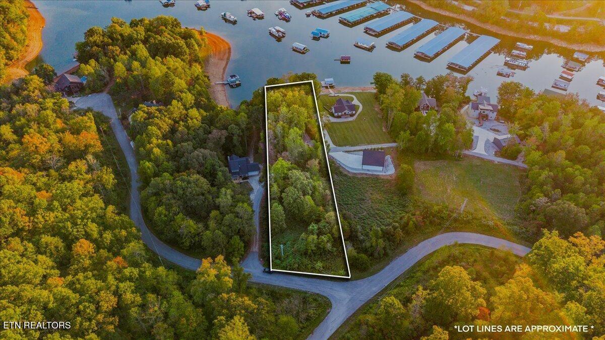 Norris Lake Real Estate - Image# 1