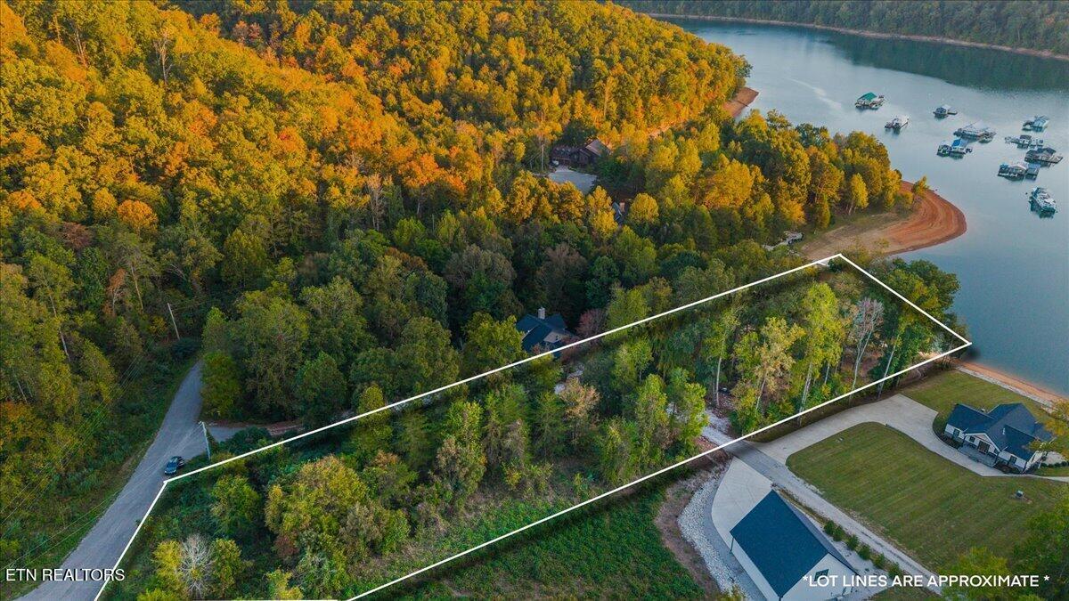 Norris Lake Real Estate - Image# 3