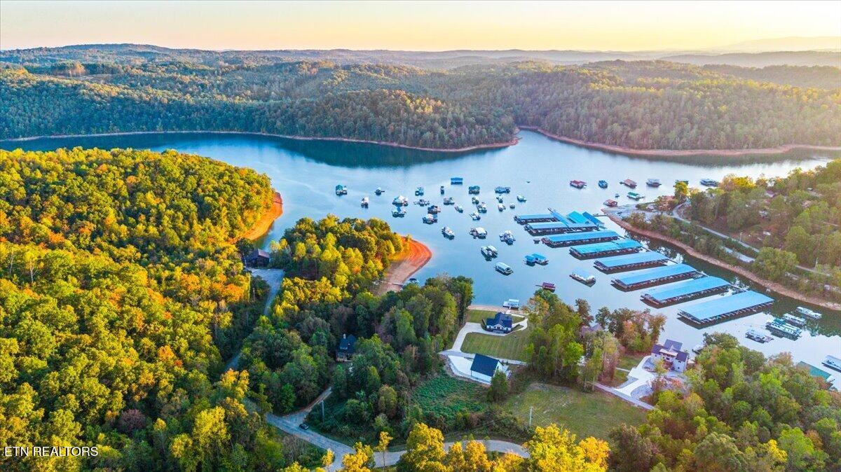 Norris Lake Real Estate - Image# 11
