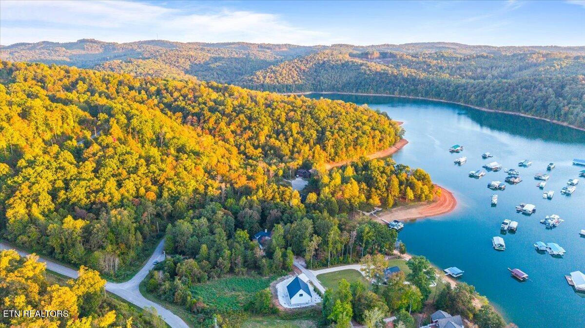 Norris Lake Real Estate - Image# 13