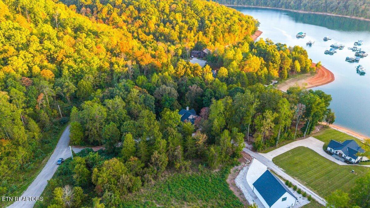 Norris Lake Real Estate - Image# 16