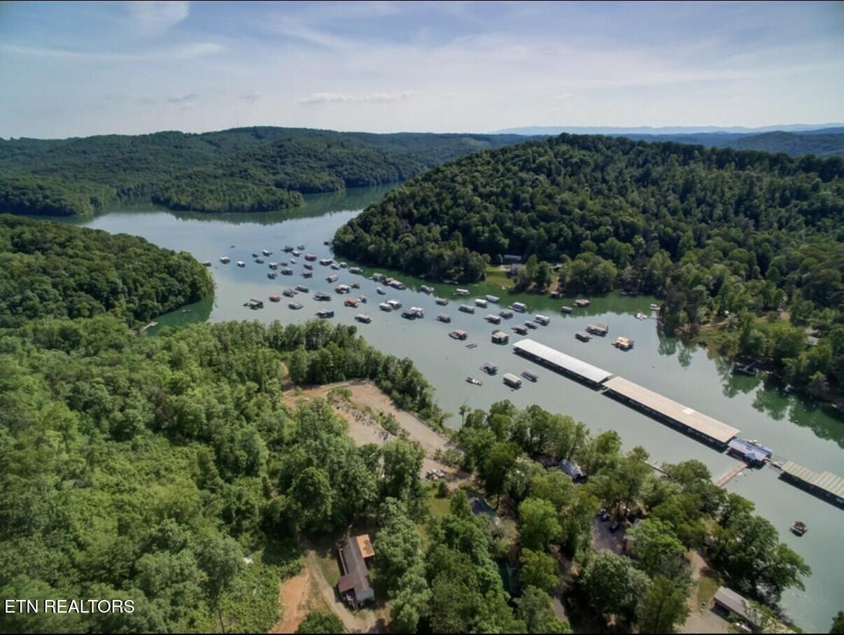 251 Last LZ Lane, Speedwell, TN - Norris Lake Real Estate - Image# 3