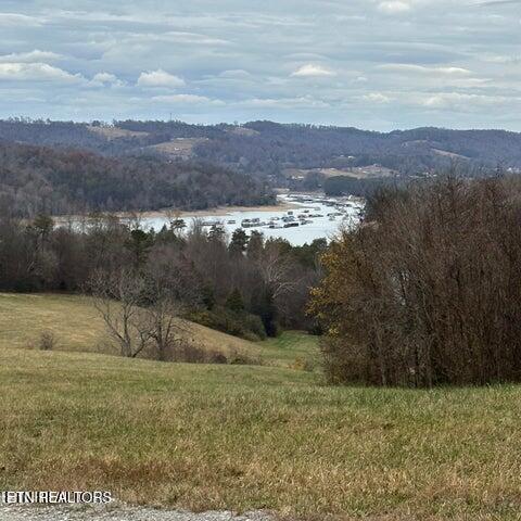 Norris Lake Real Estate - Image# 2