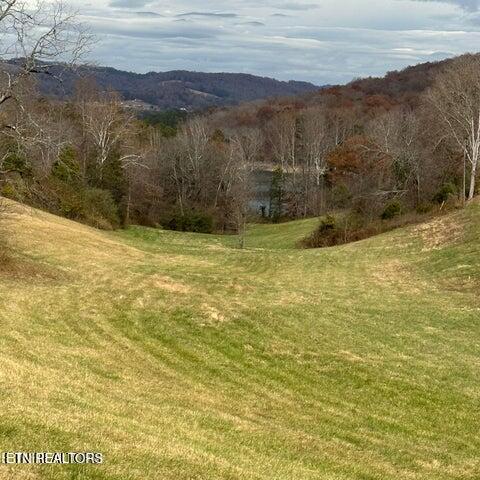 Norris Lake Real Estate - Image# 7
