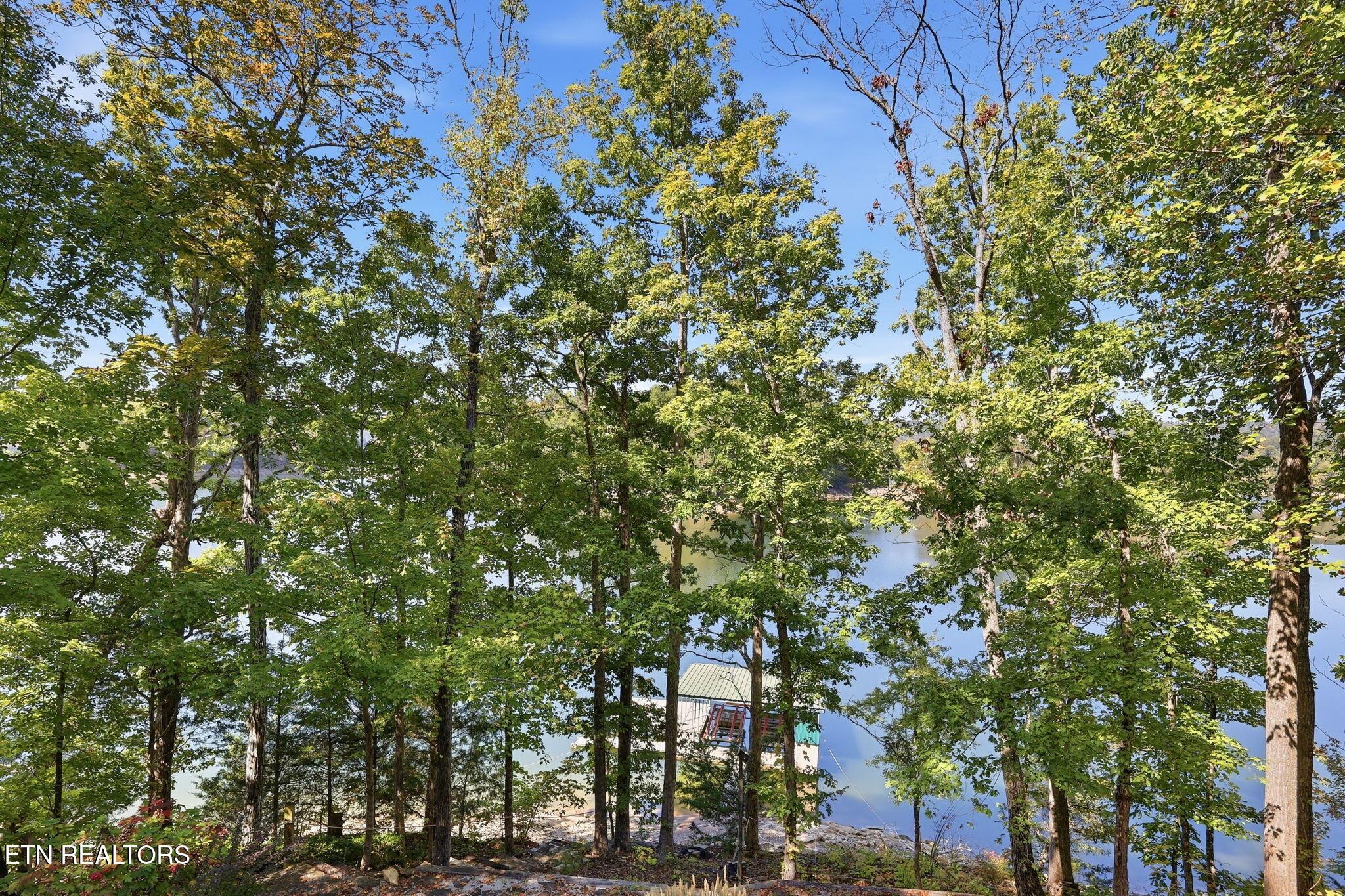 553 Hurricane Hollow Rd, Maynardville, TN - Norris Lake Real Estate - Image# 36