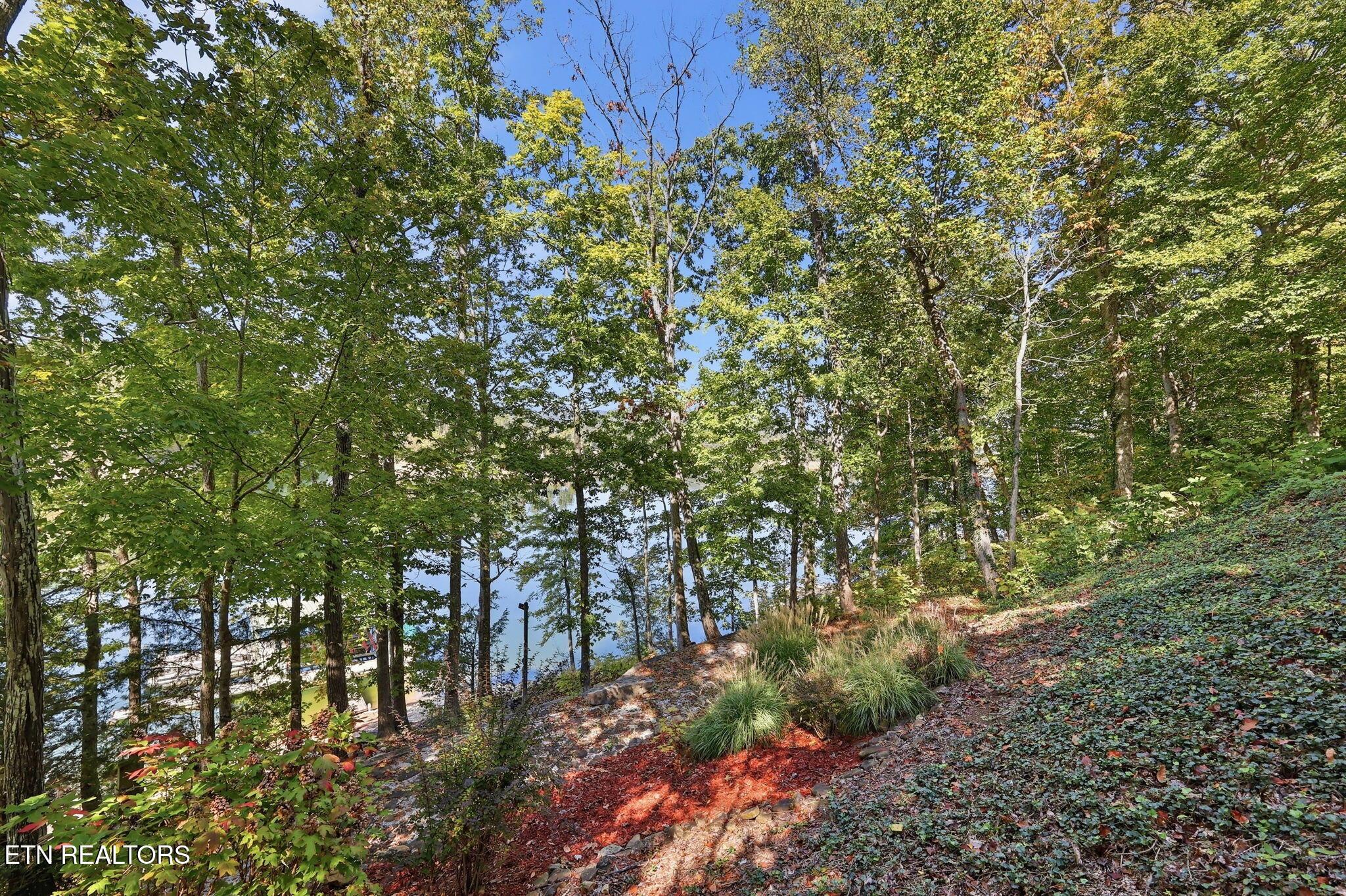 553 Hurricane Hollow Rd, Maynardville, TN - Norris Lake Real Estate - Image# 40