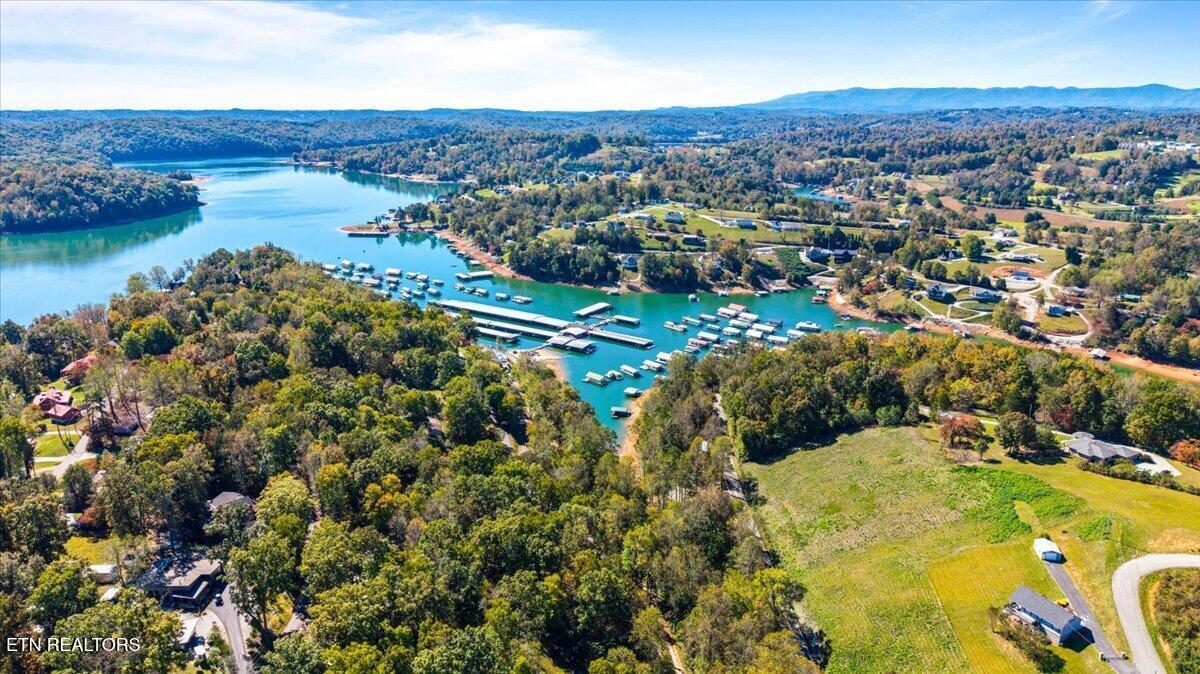 1547 Alder Springs Rd, Lafollette, TN - Norris Lake Real Estate - Image# 3