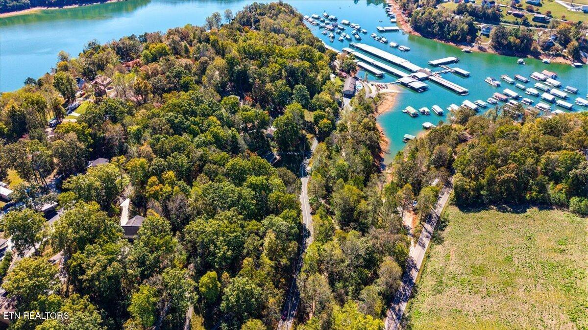 1547 Alder Springs Rd, Lafollette, TN - Norris Lake Real Estate - Image# 4
