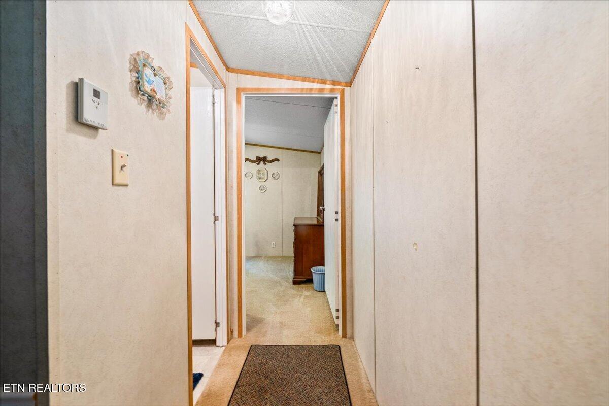 1547 Alder Springs Rd, Lafollette, TN - Norris Lake Real Estate - Image# 20