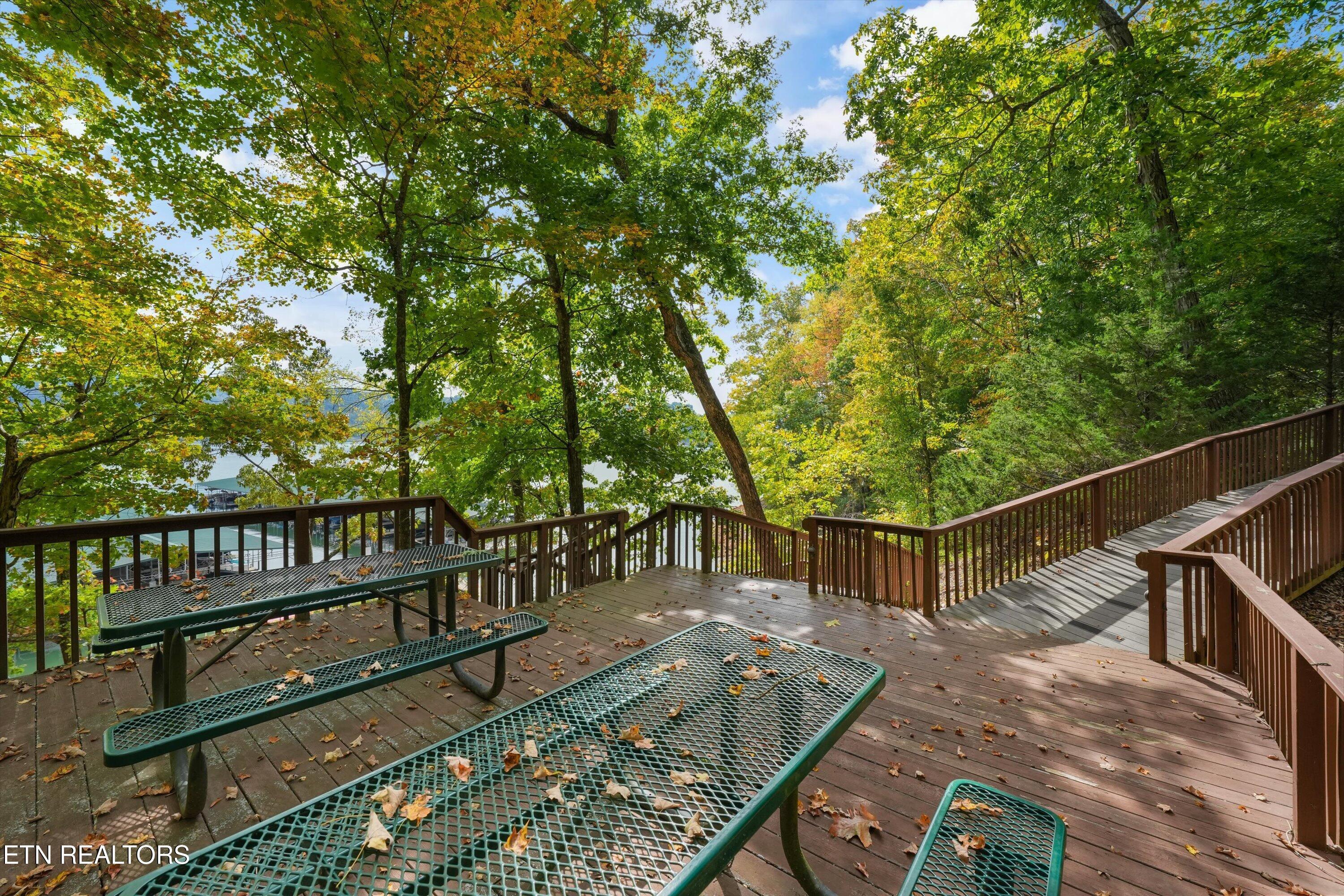 119 Larimar Lane, New Tazewell, TN - Norris Lake Real Estate - Image# 55