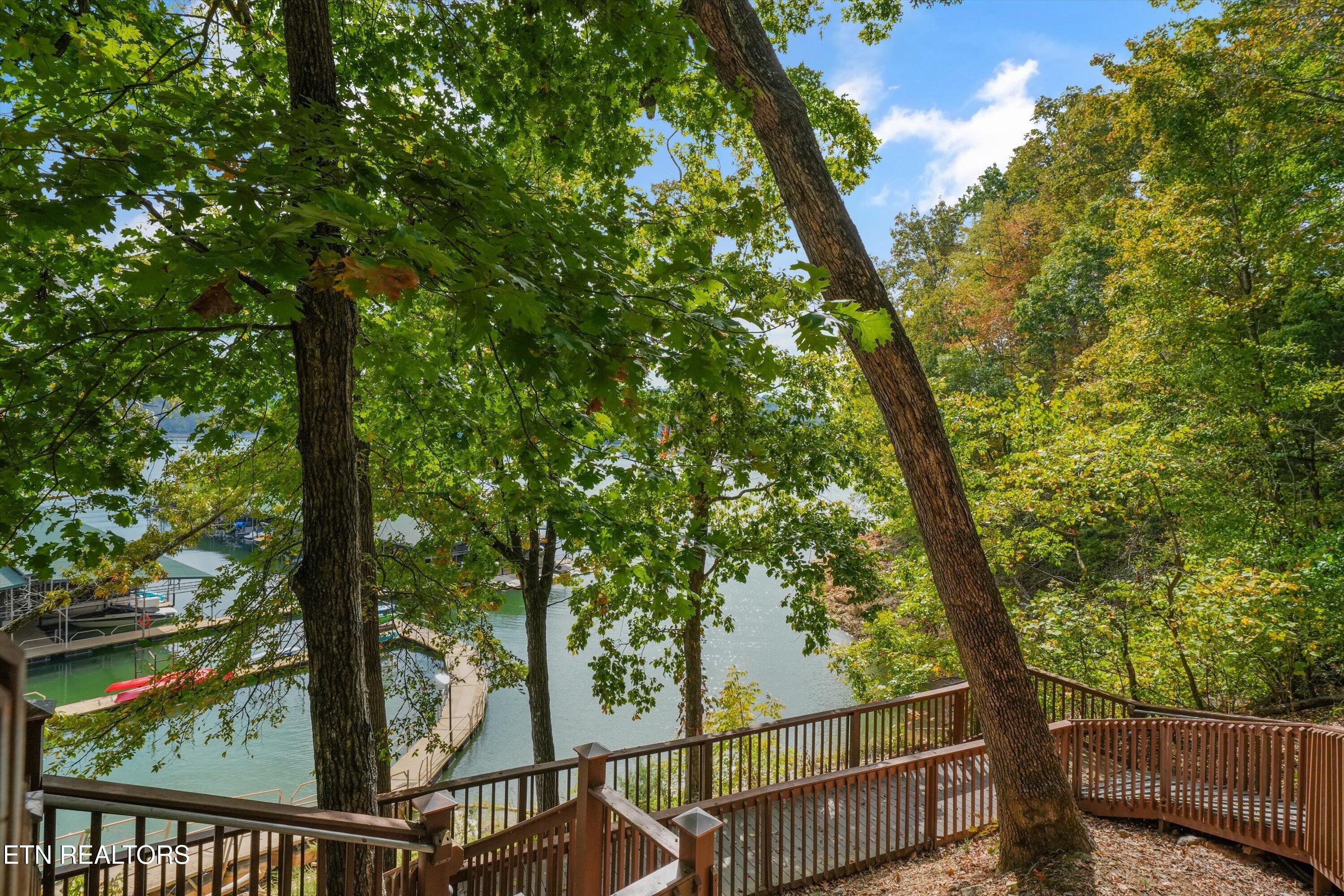 119 Larimar Lane, New Tazewell, TN - Norris Lake Real Estate - Image# 56