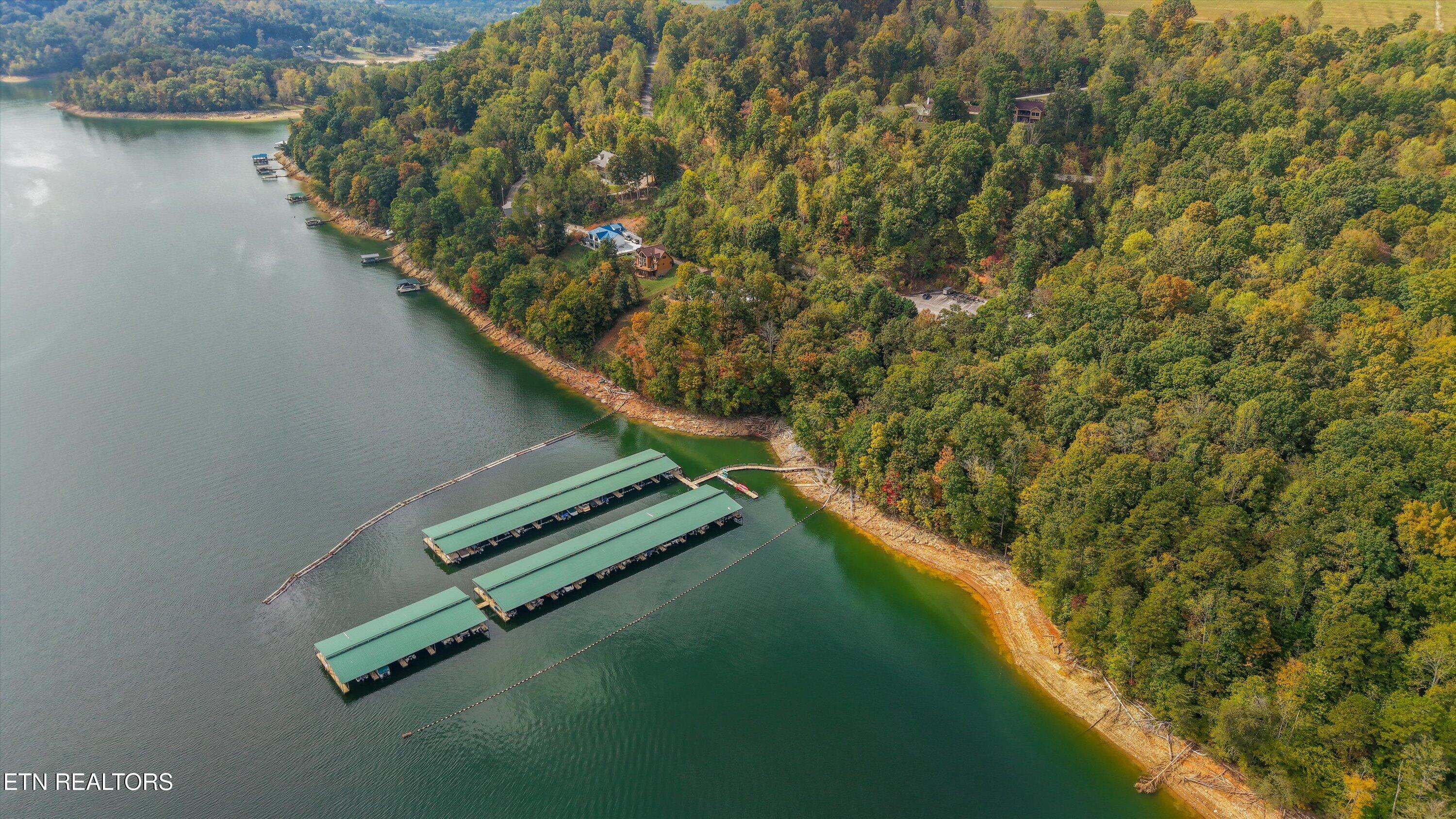 119 Larimar Lane, New Tazewell, TN - Norris Lake Real Estate - Image# 57