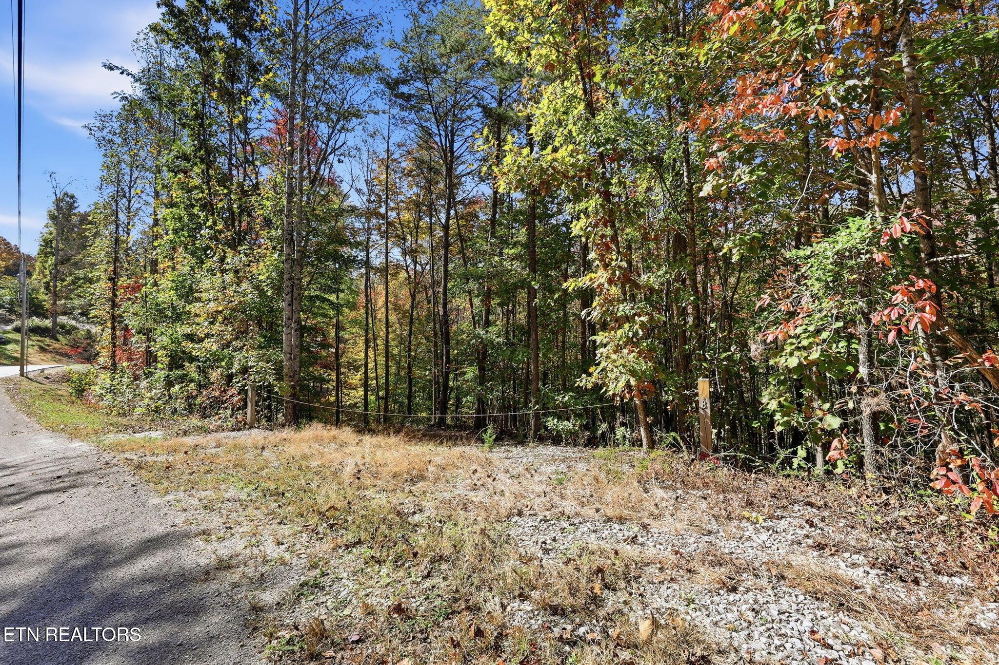 Norris Lake Real Estate - Image# 3