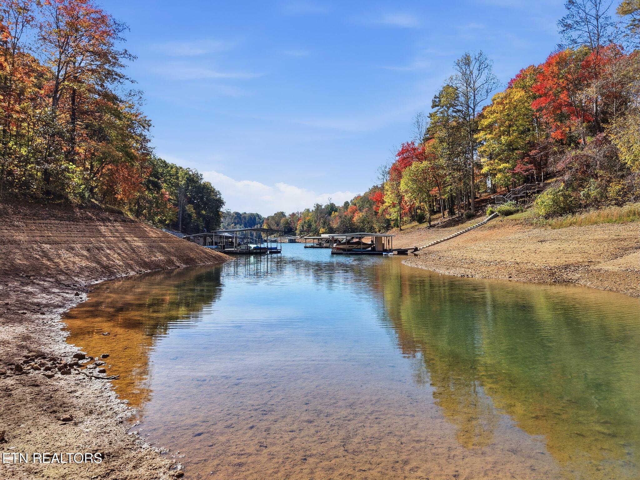 Norris Lake Real Estate - Image# 4
