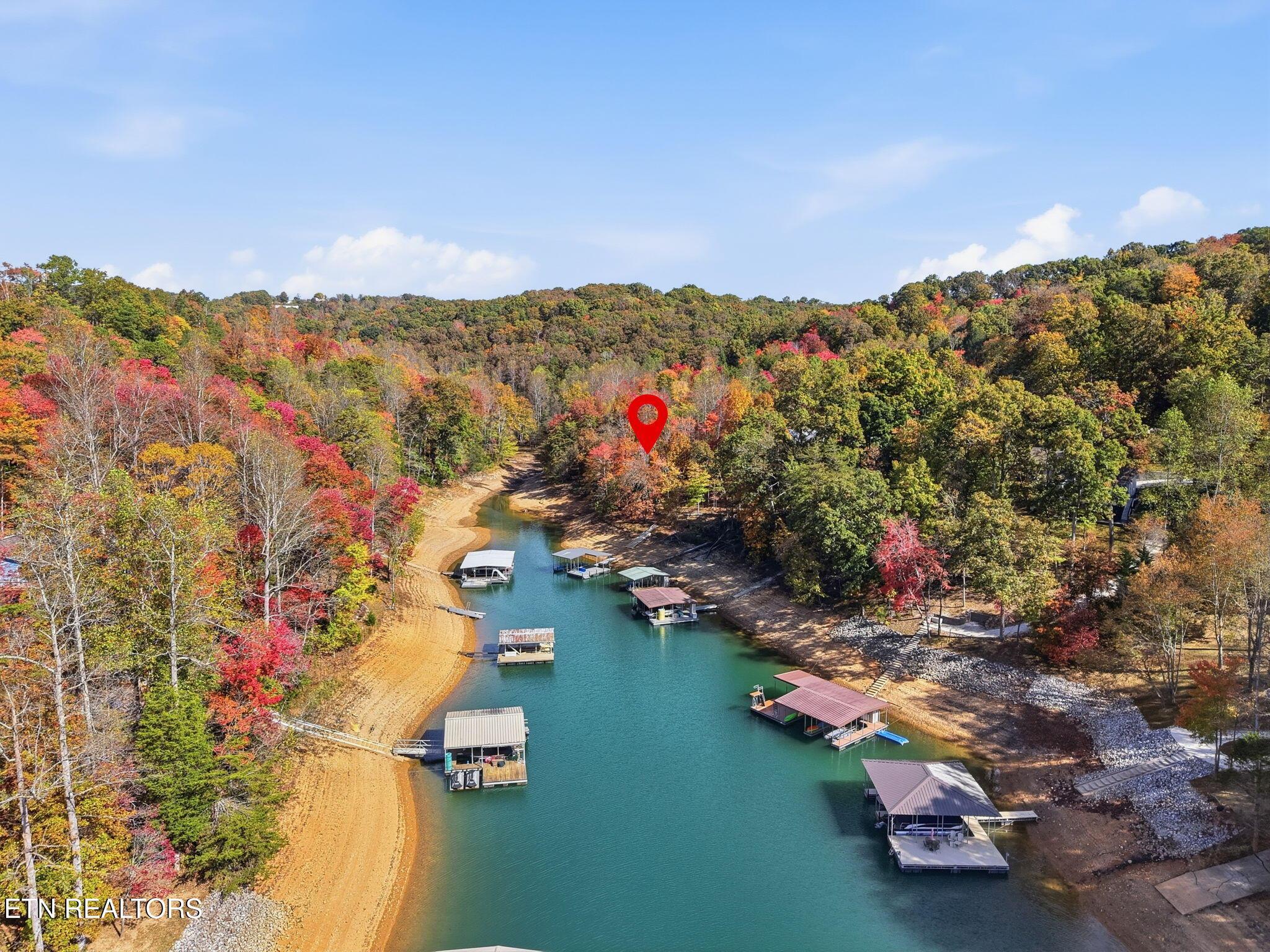 Norris Lake Real Estate - Image# 5