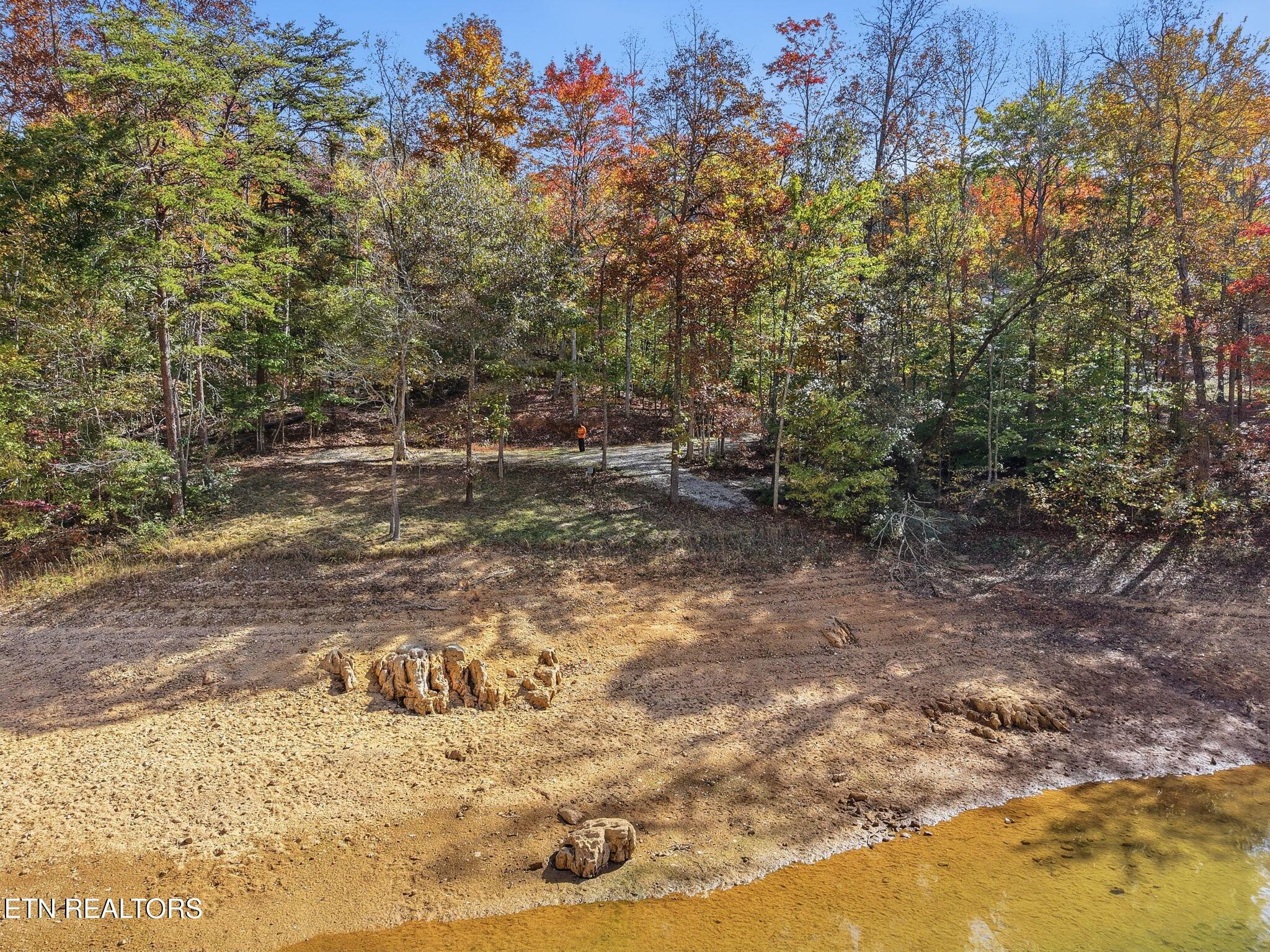 Norris Lake Real Estate - Image# 6