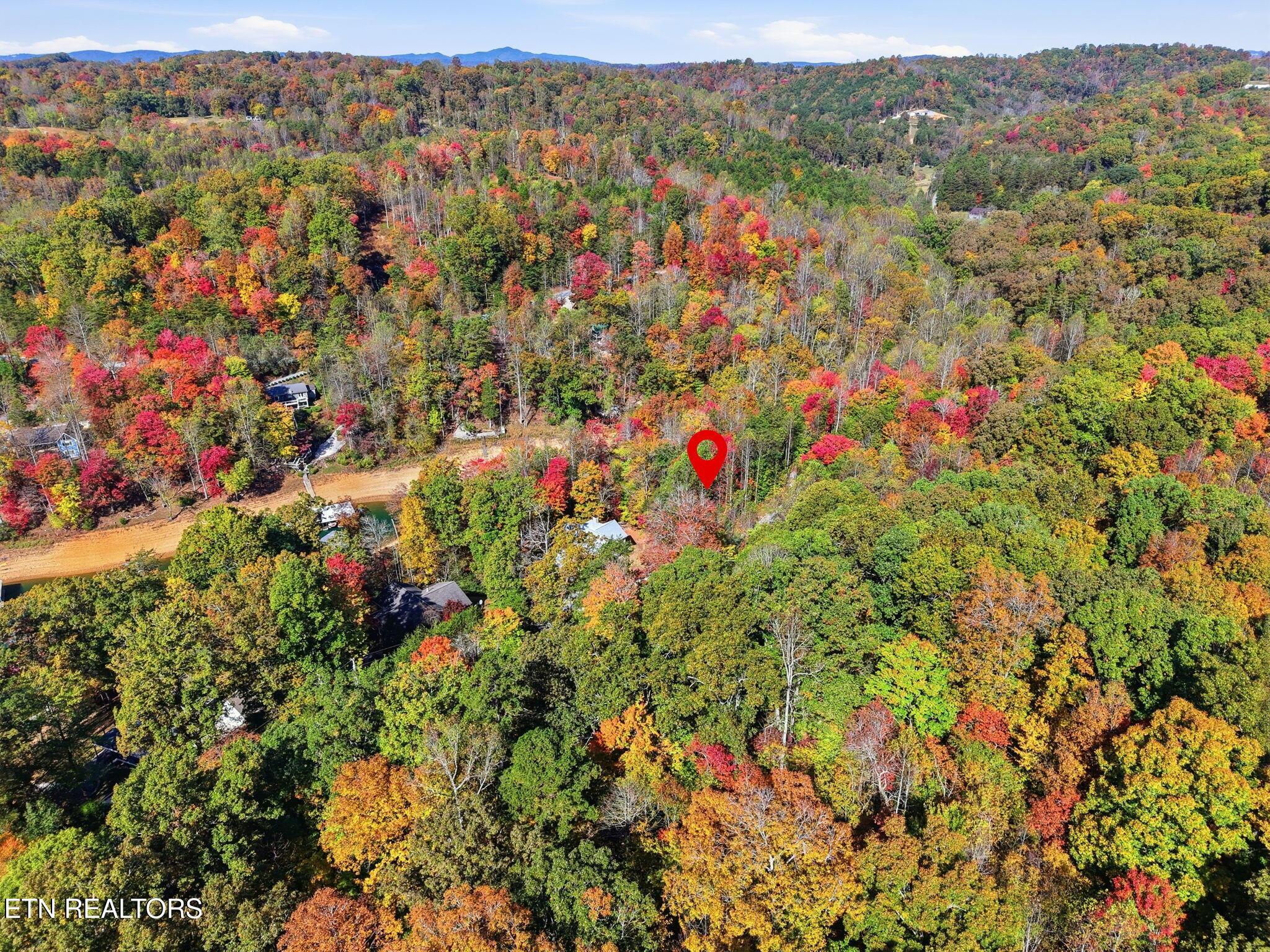 Norris Lake Real Estate - Image# 7