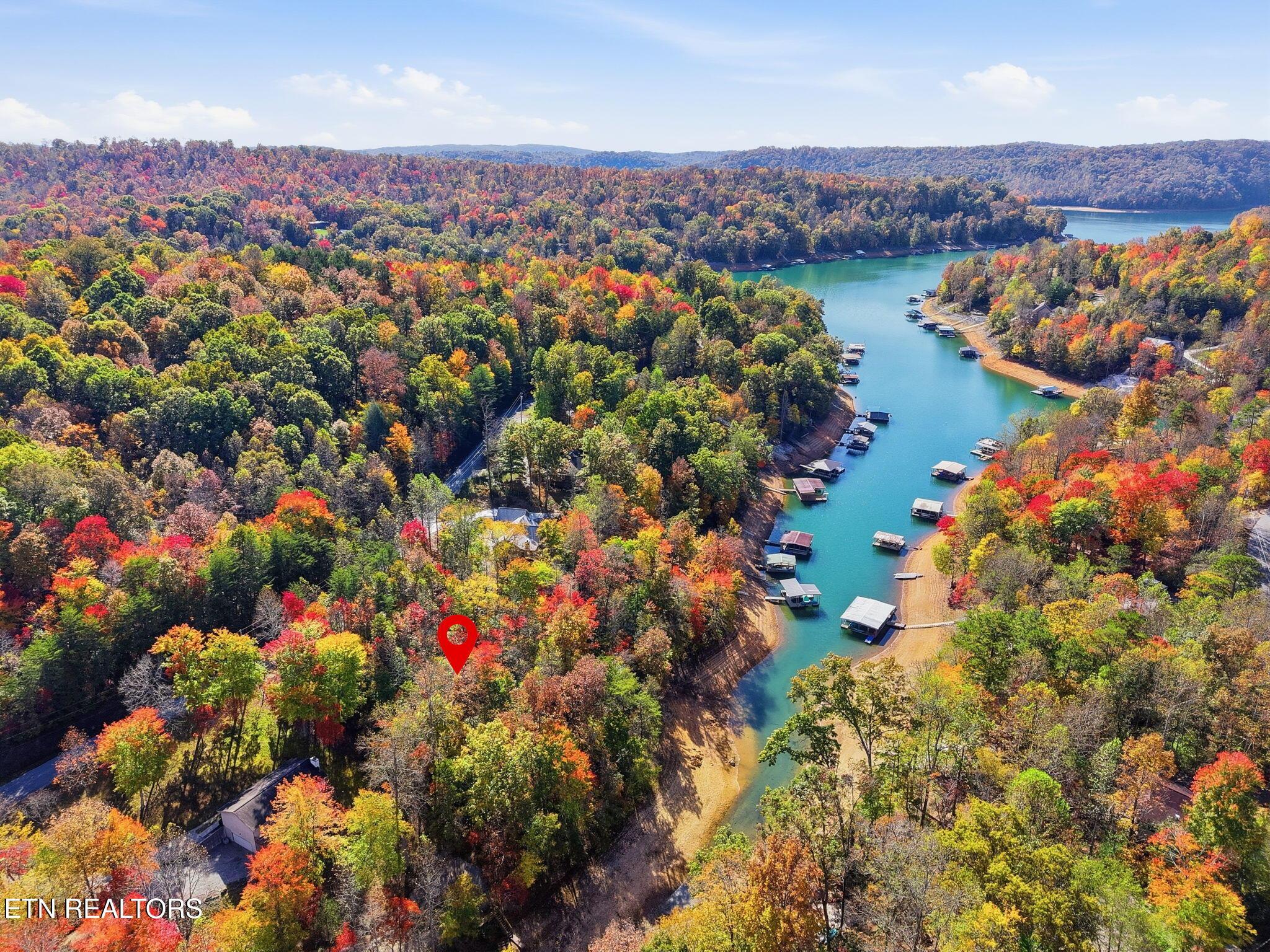Norris Lake Real Estate - Image# 8