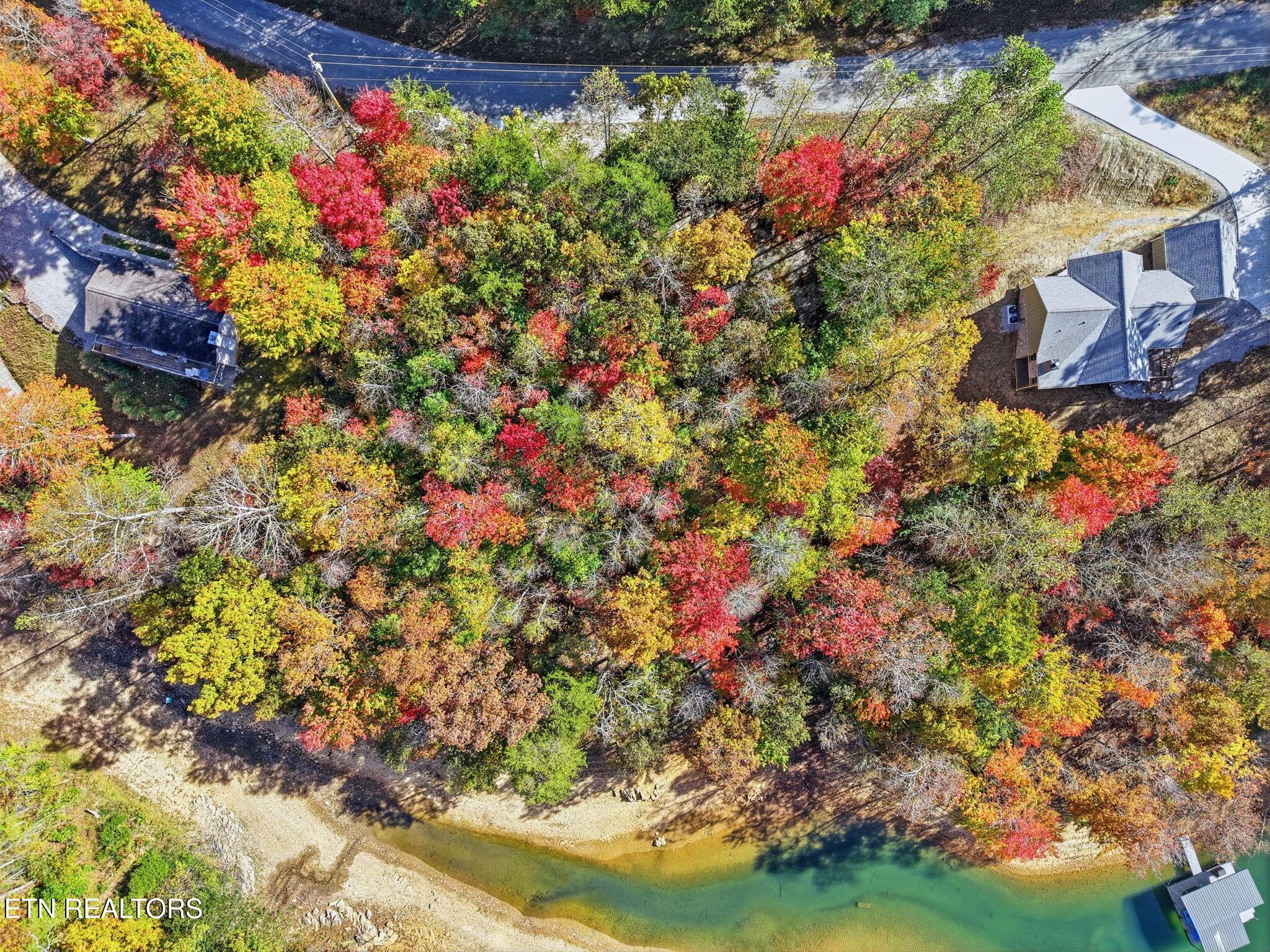 Norris Lake Real Estate - Image# 9
